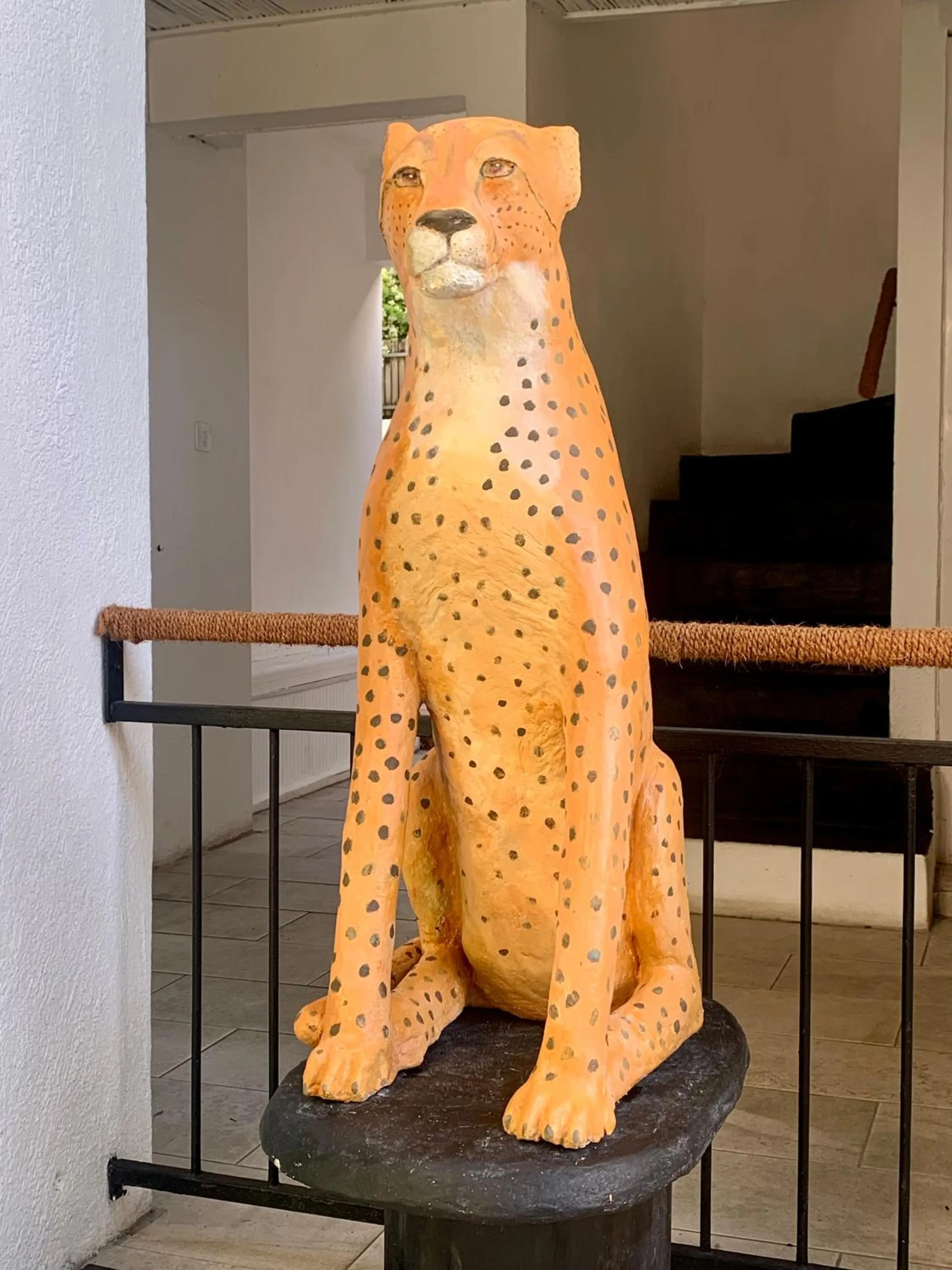 Decorative detail in Cosy Guest House Sous le Badamier