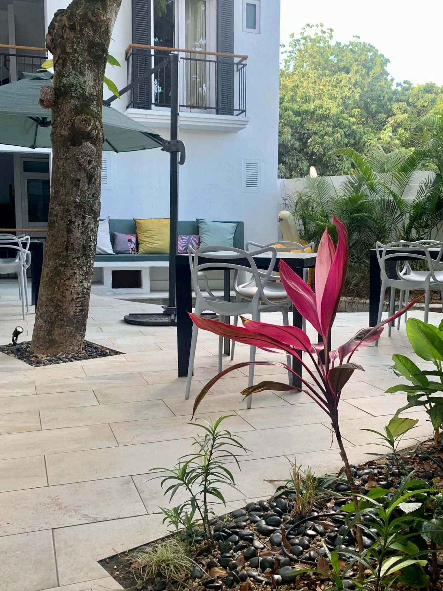 Patio in Cosy Guest House Sous le Badamier