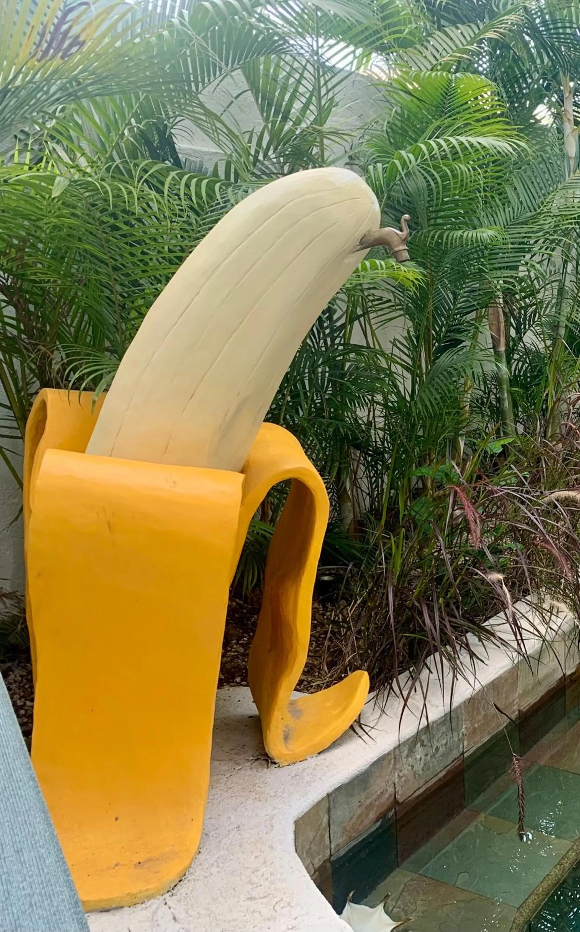 Garden in Cosy Guest House Sous le Badamier