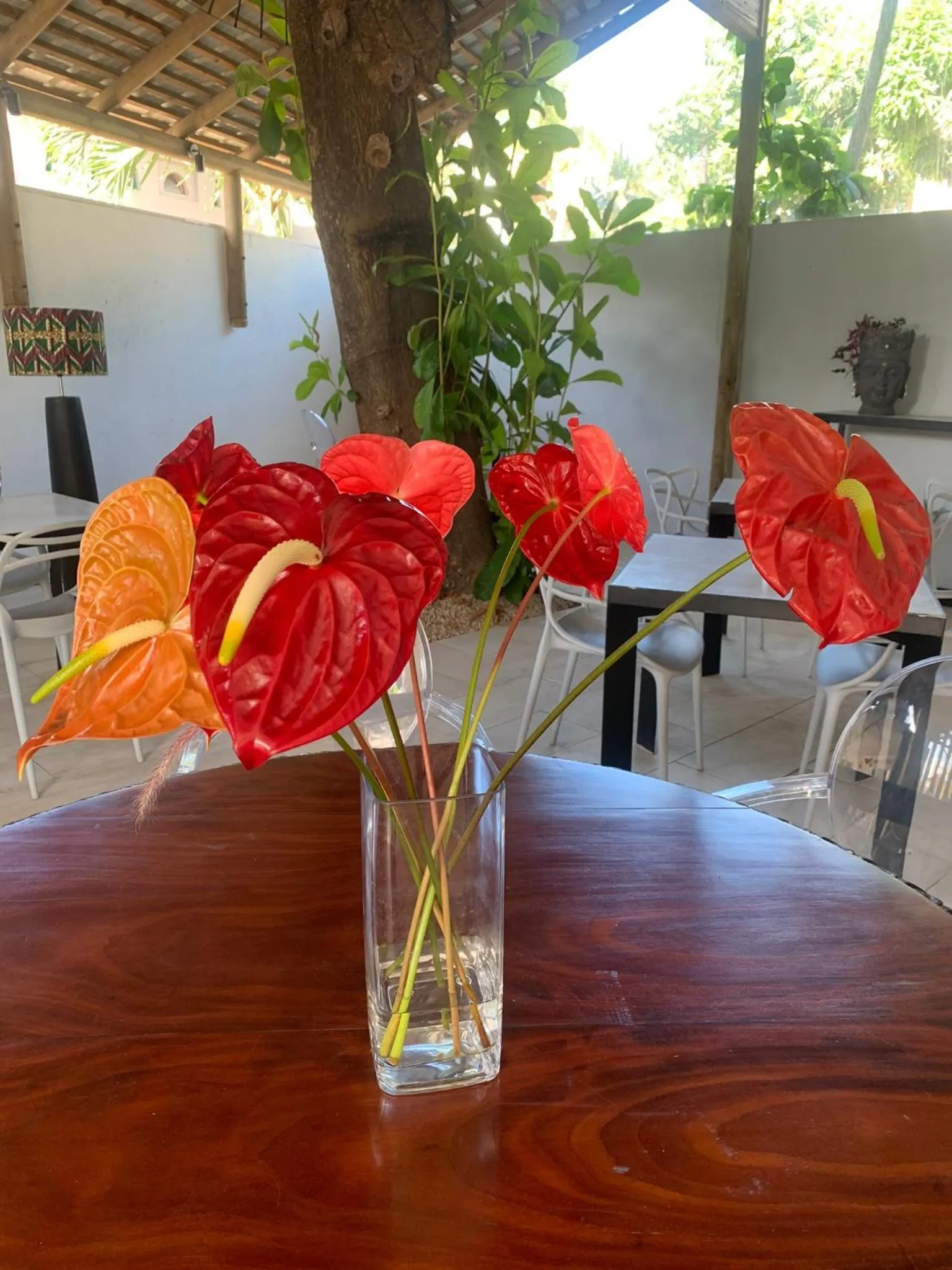 Restaurant/places to eat in Cosy Guest House Sous le Badamier