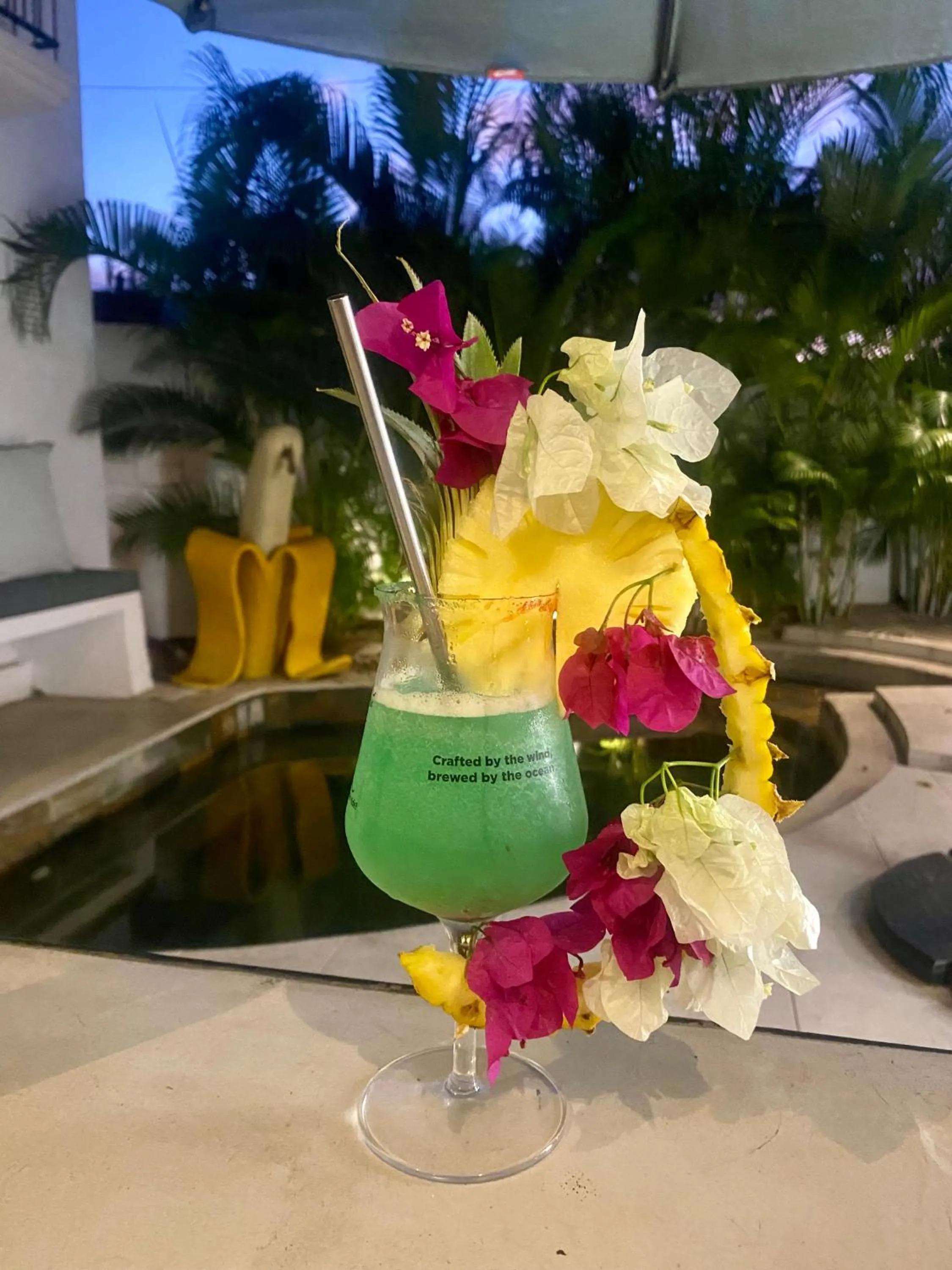 Lounge or bar in Cosy Guest House Sous le Badamier