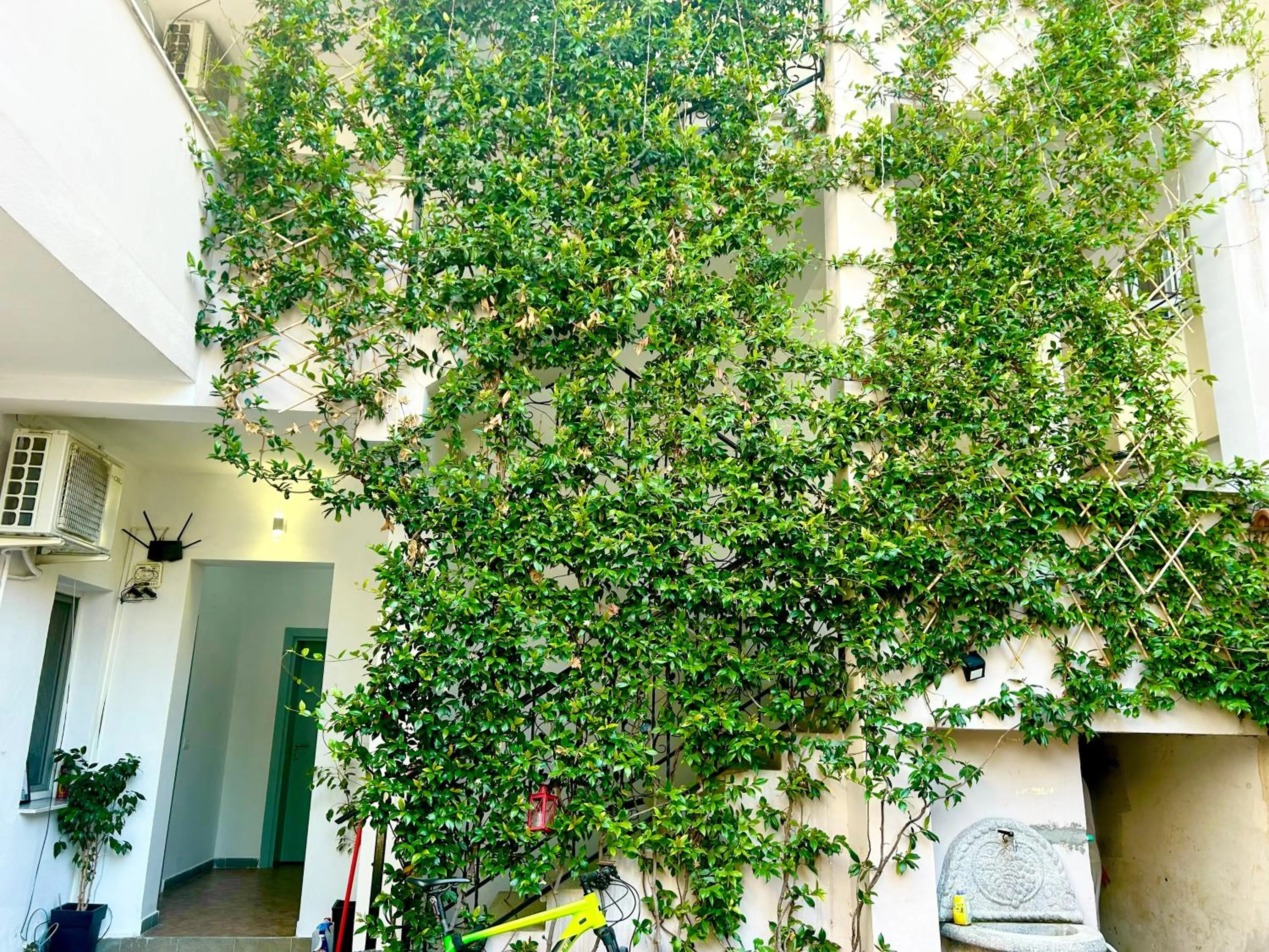 Garden in Budget Retreat Tirana & Studios