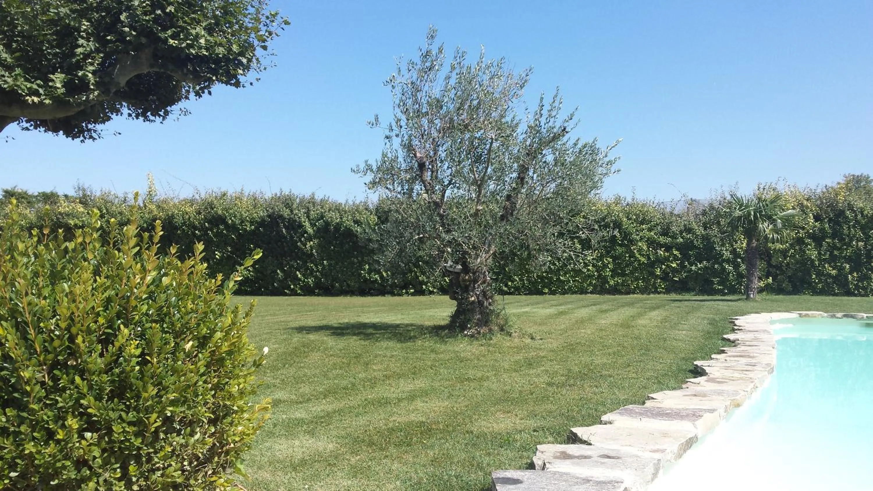 Day in Mas Saint Julien