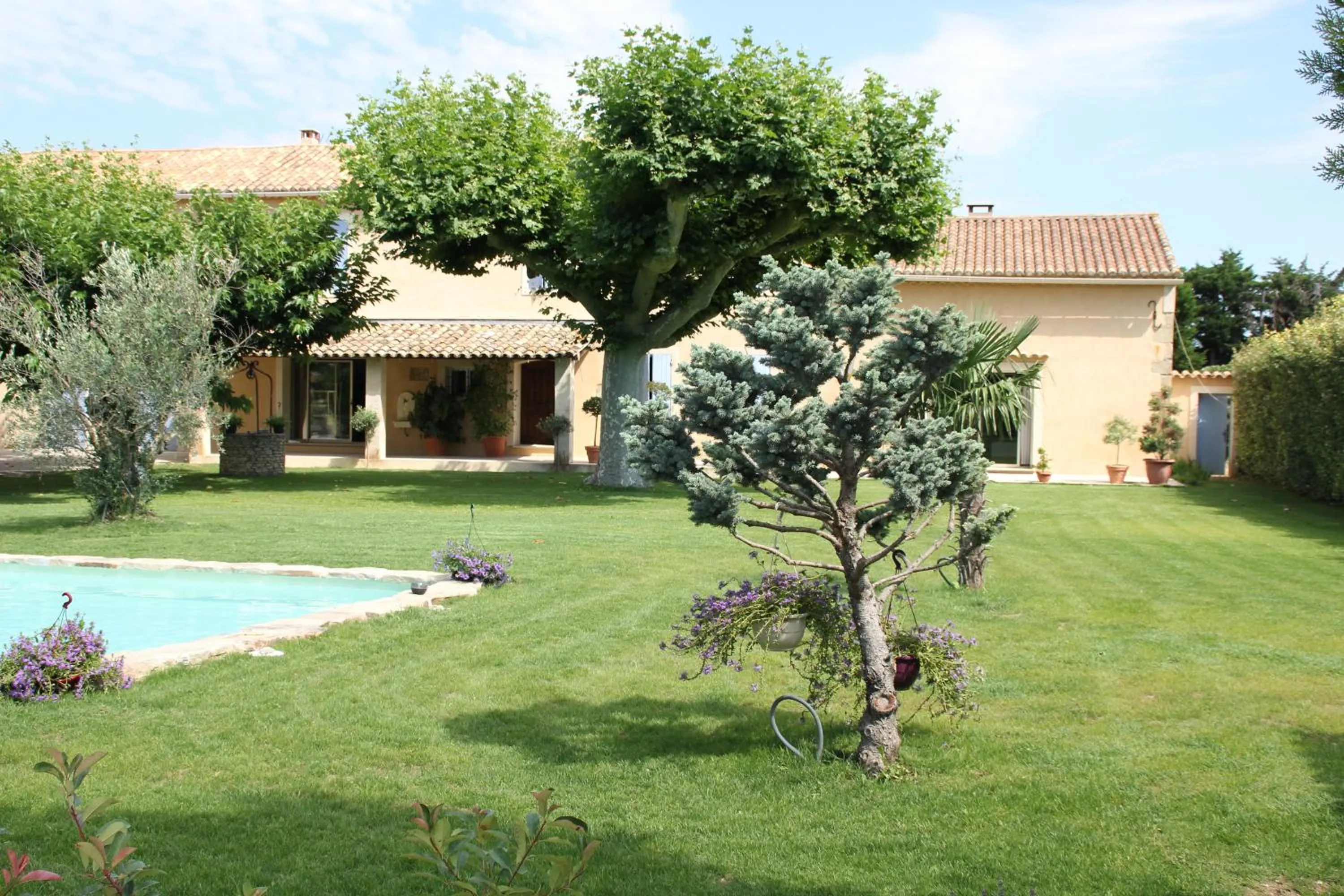 Garden in Mas Saint Julien