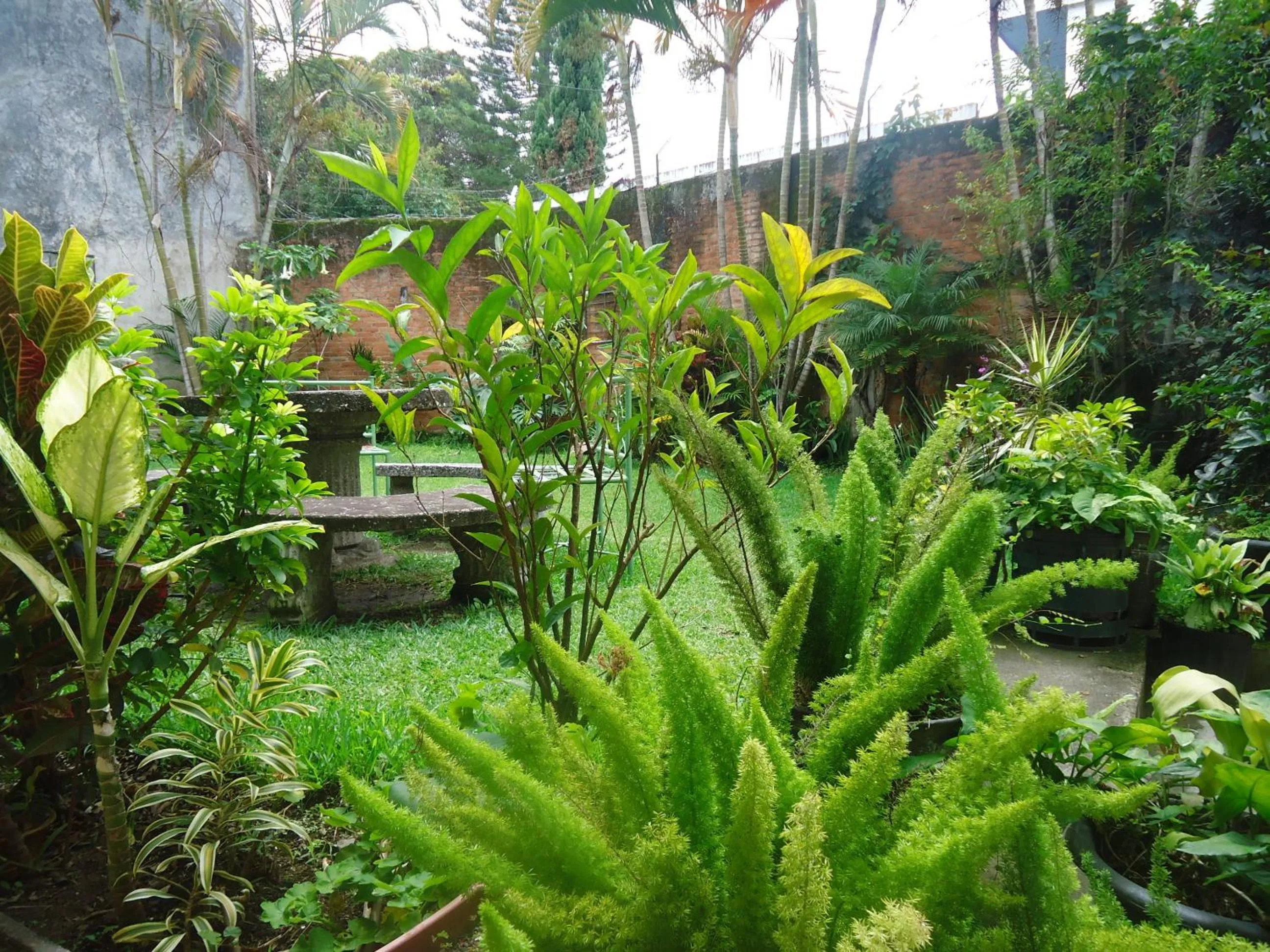 Garden in Boutique Hotel Casa Orquídeas