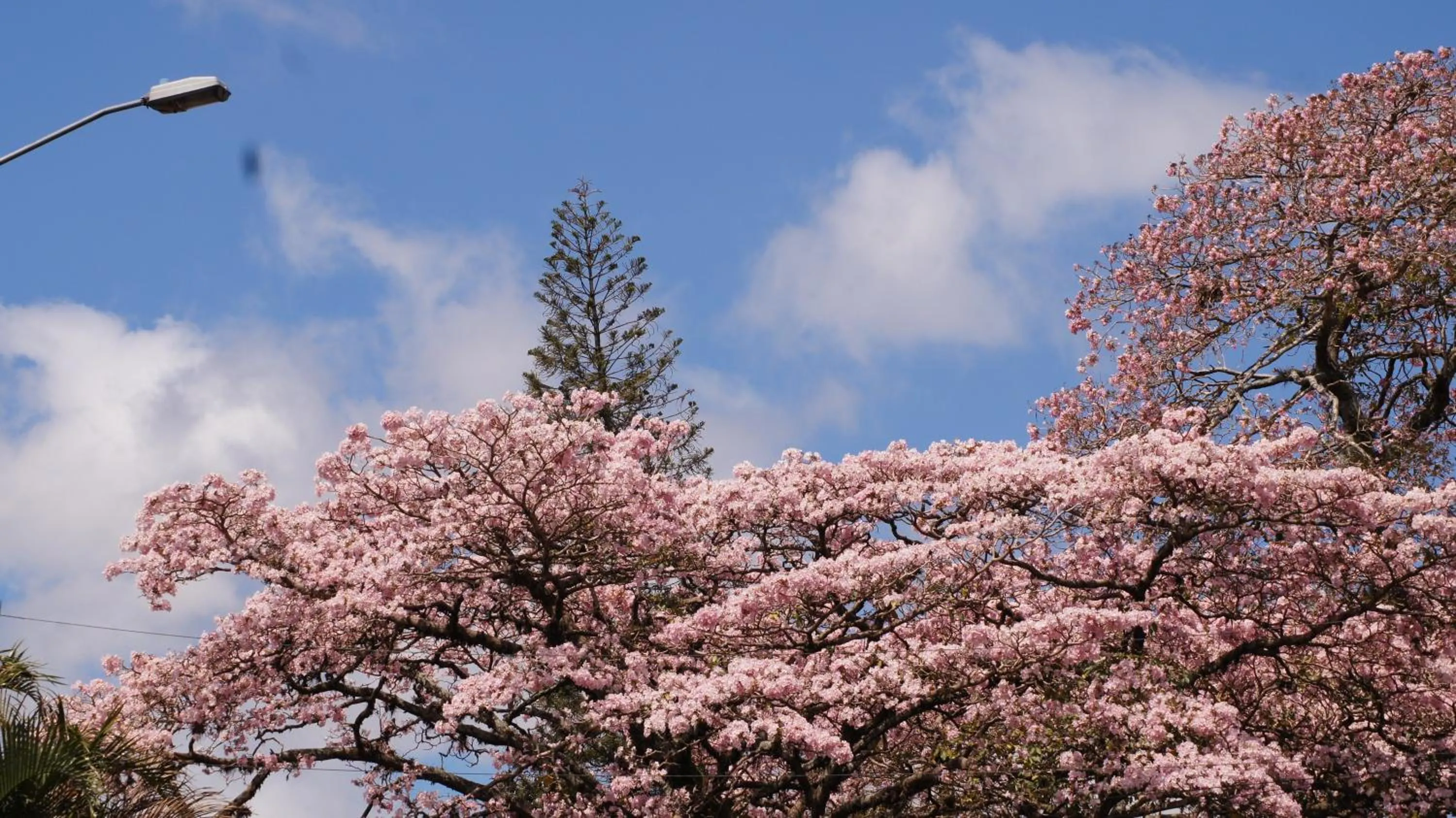 Neighbourhood in Boutique Hotel Casa Orquídeas