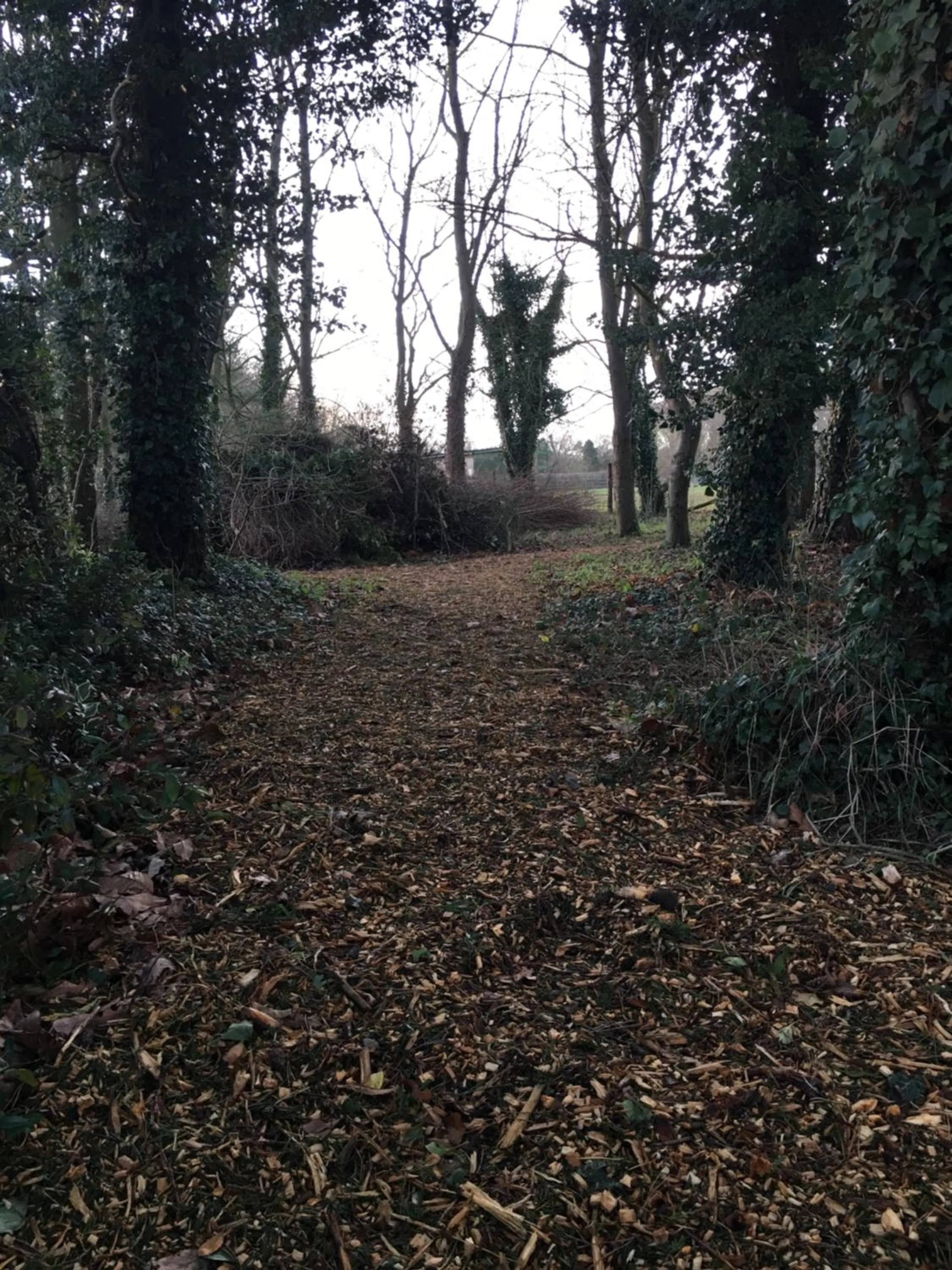 Natural landscape in the Orangery - BnB Suites