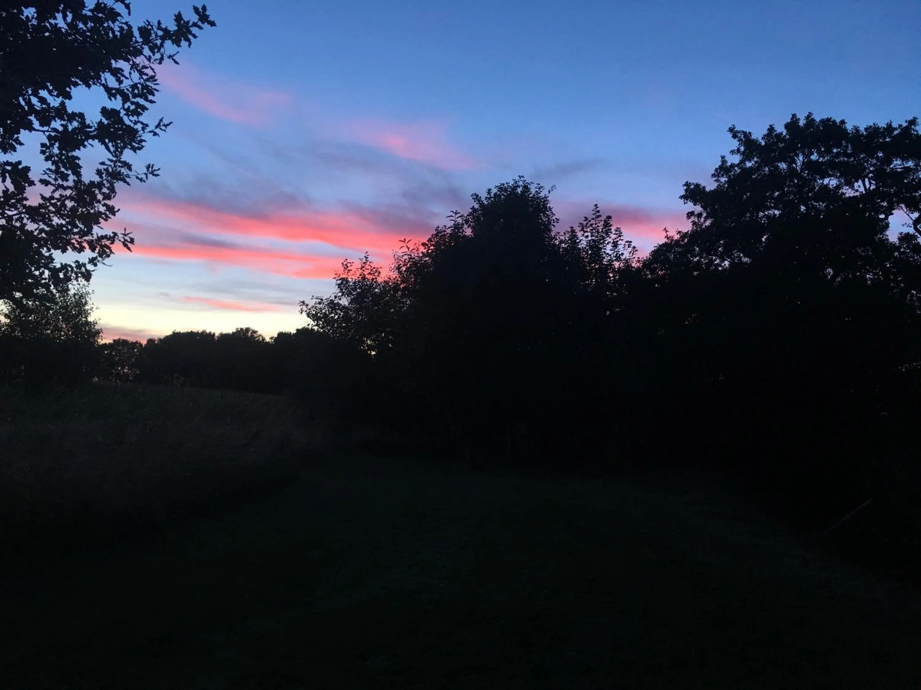 Natural landscape in the Orangery - BnB Suites