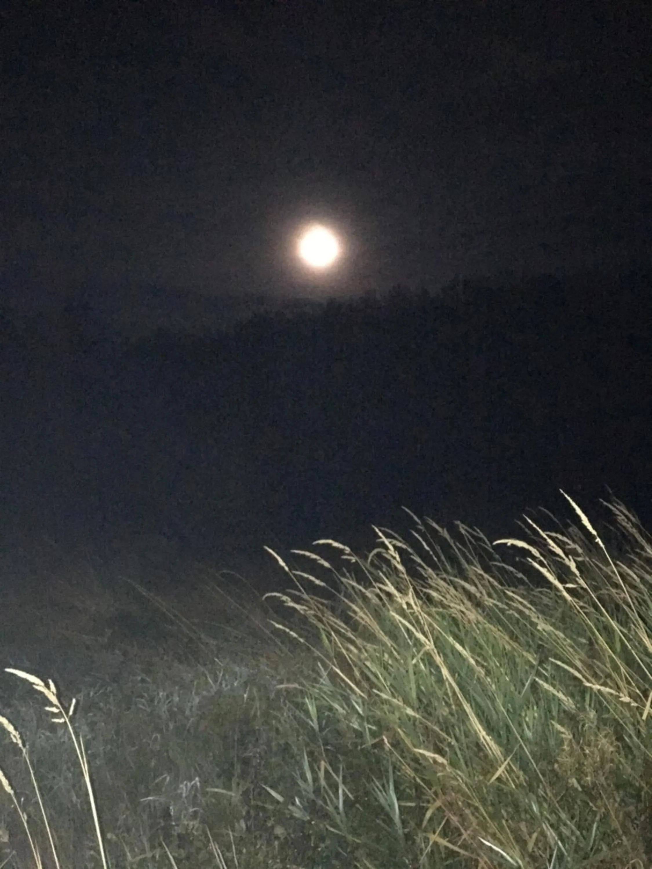 Off site in the Orangery - BnB Suites