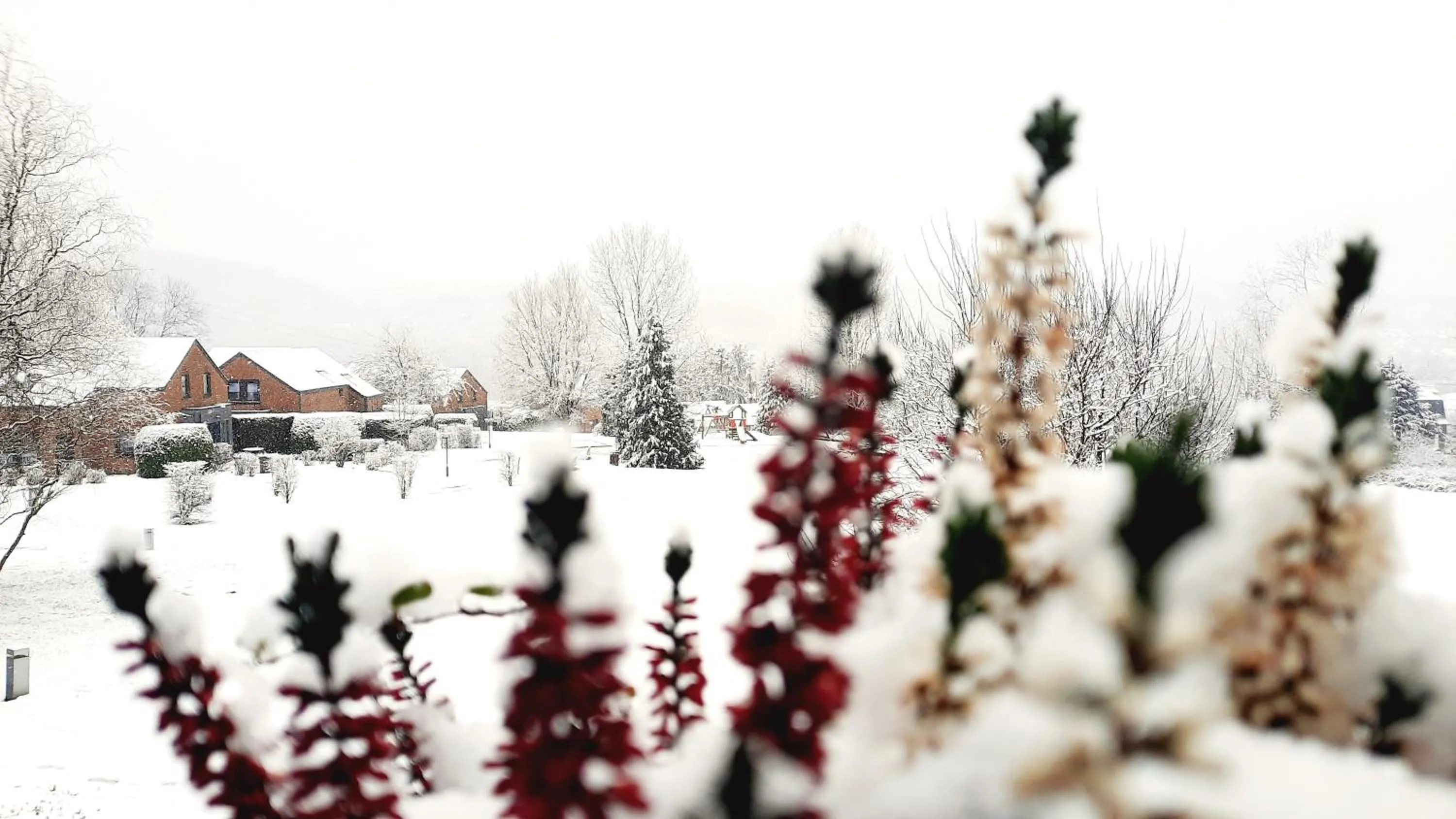 Property building in Maisons de Vacances Azur en Ardenne