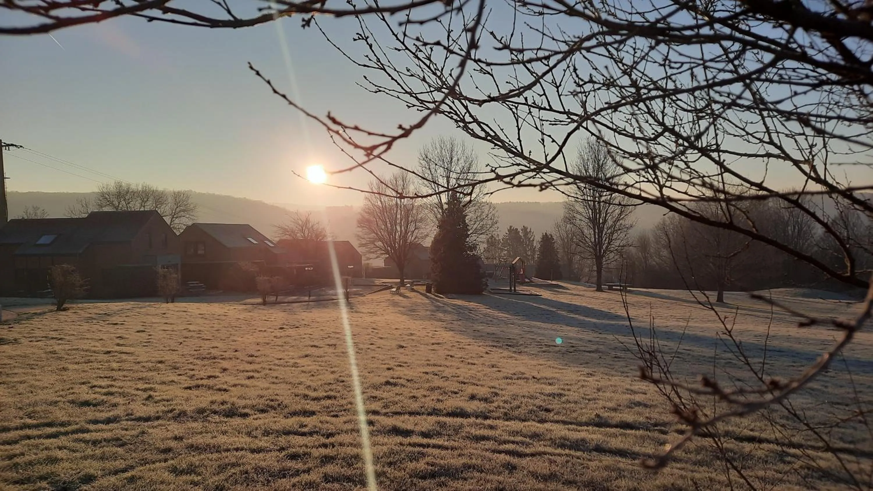 Garden view in Maisons de Vacances Azur en Ardenne