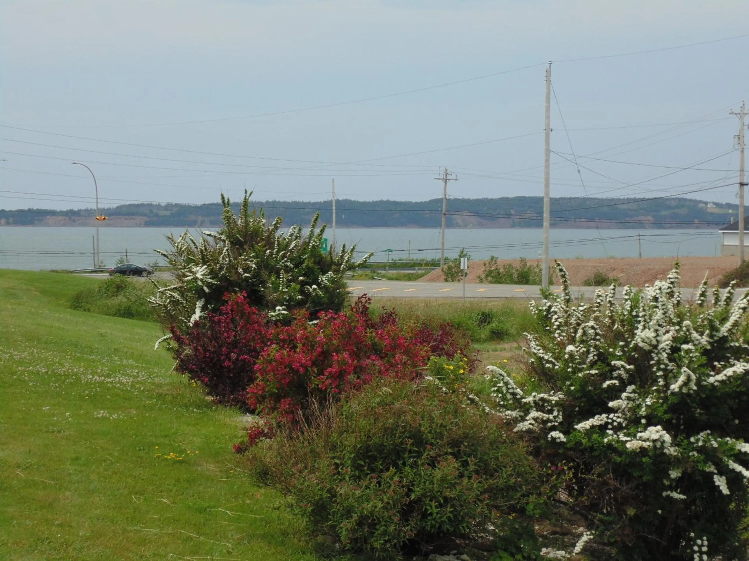 Garden in Hebridean Motel