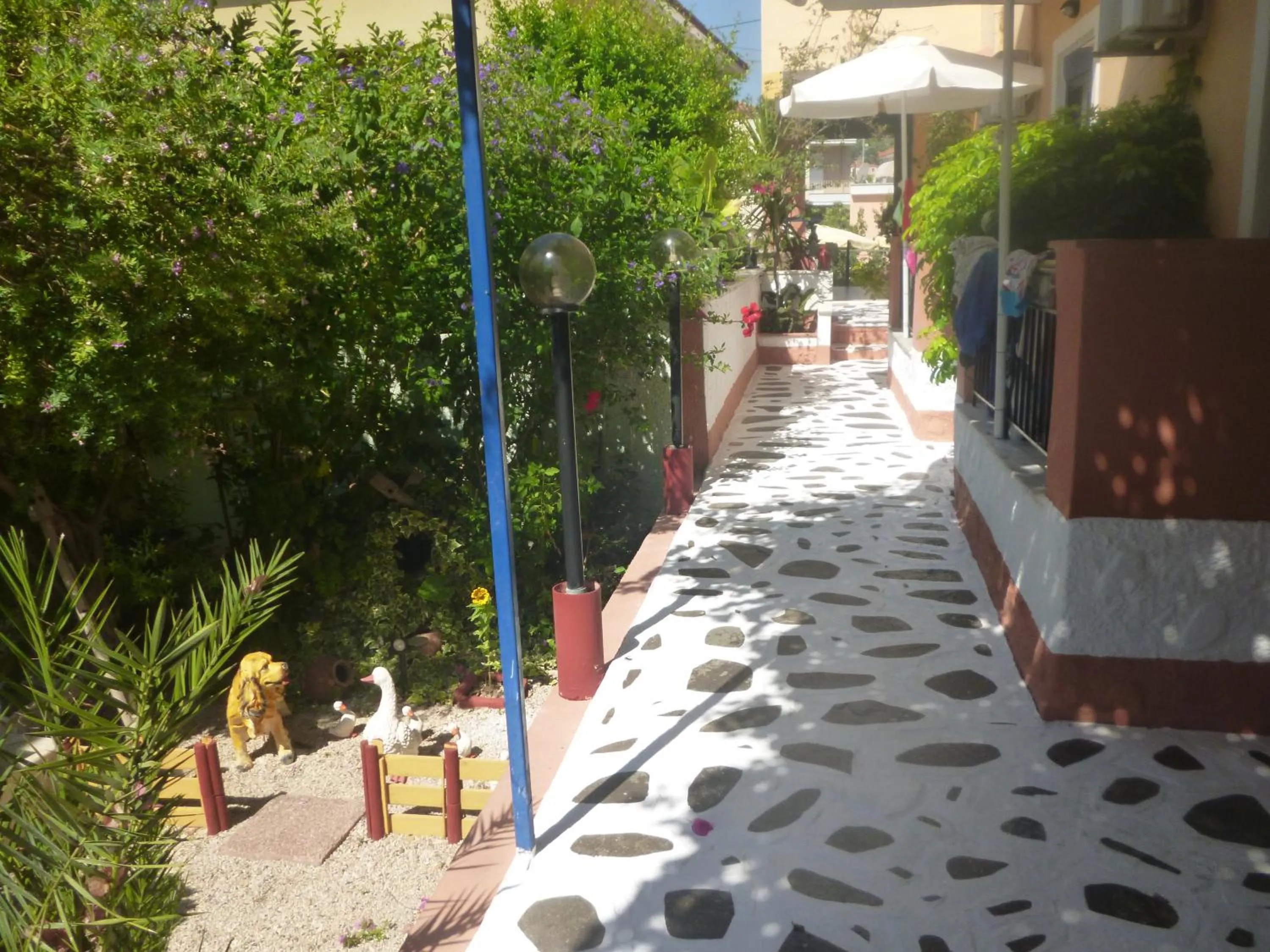 Studios Cosmopolitan