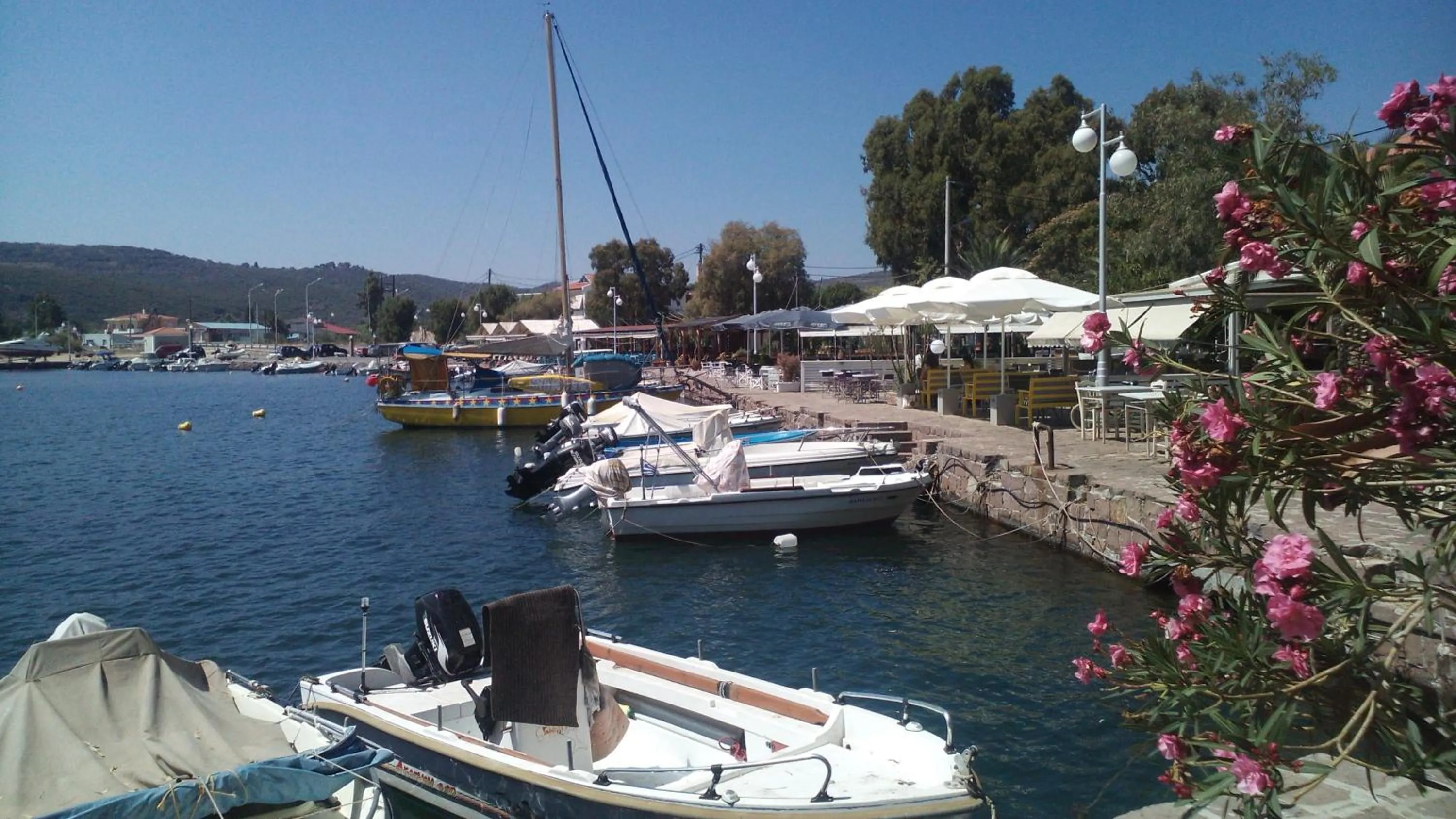 Property building in Studios Cosmopolitan