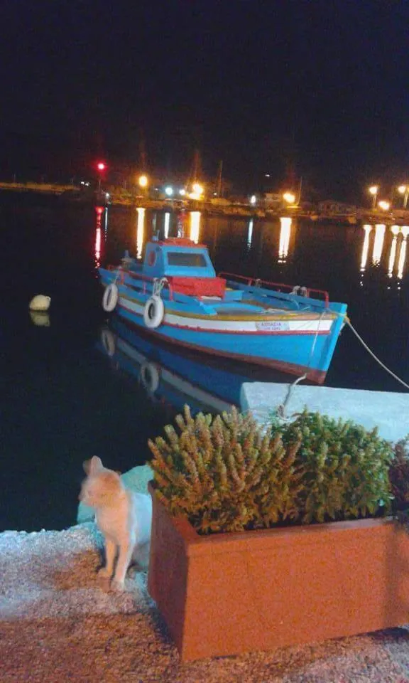 Studios Cosmopolitan