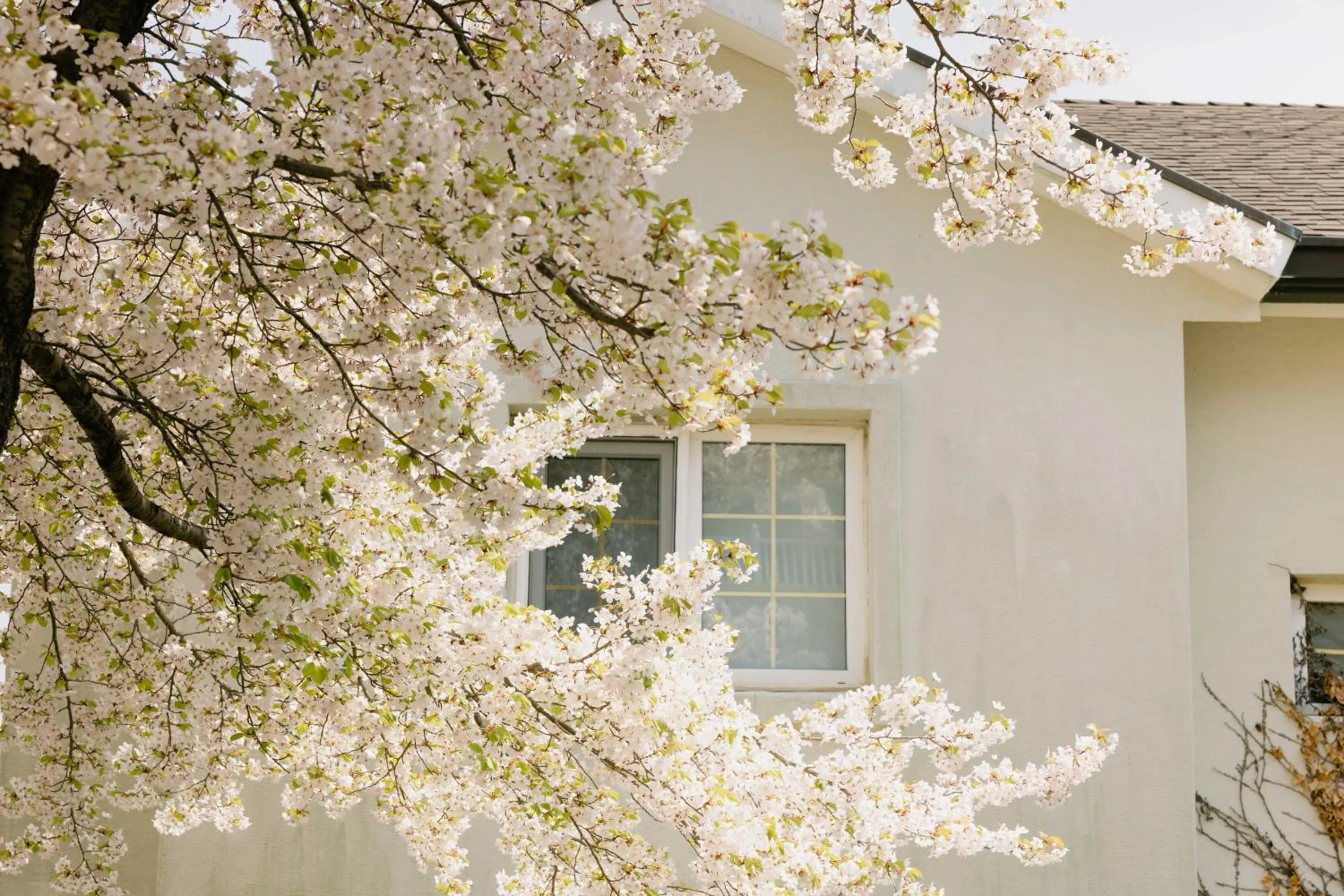 Property building in Gyeongju Mauna Ocean Resort