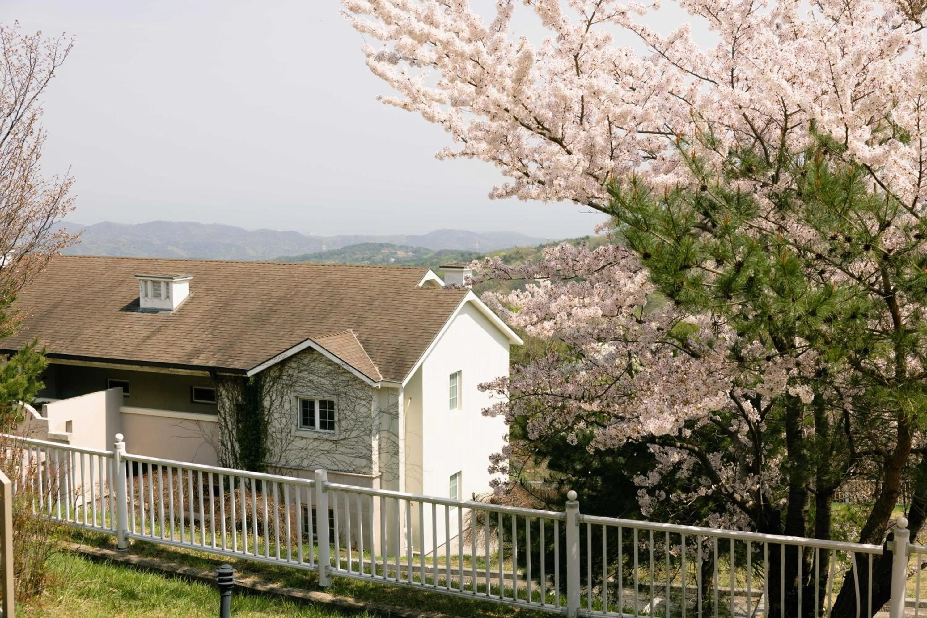 Property building in Gyeongju Mauna Ocean Resort