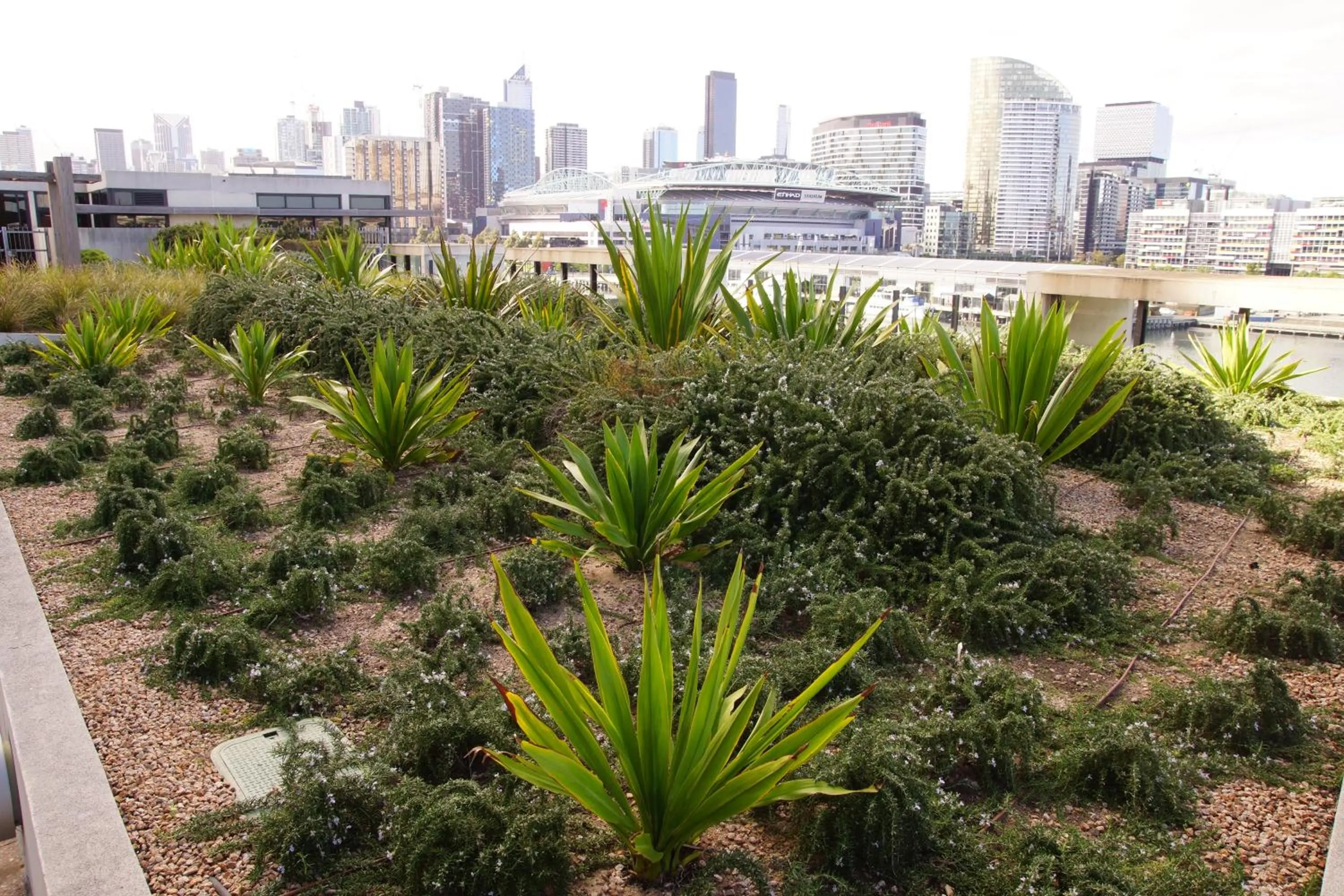 Garden in Accent Accommodation@Docklands