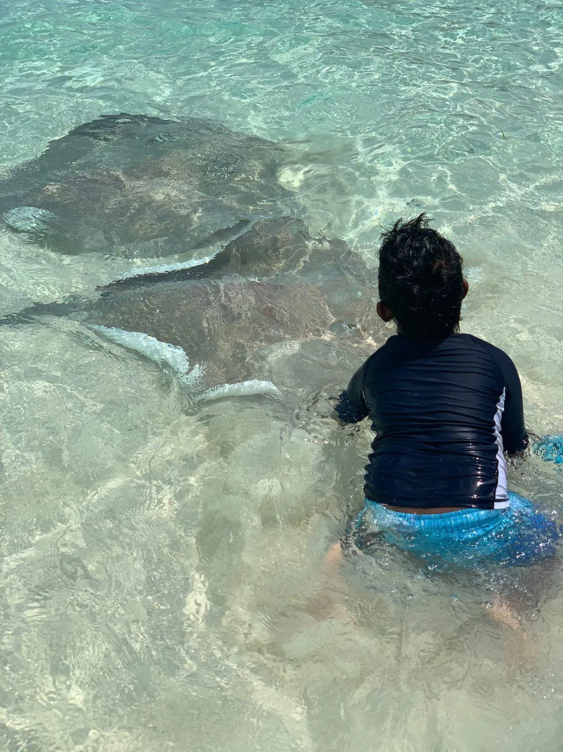 Lazzlla beach front apartments