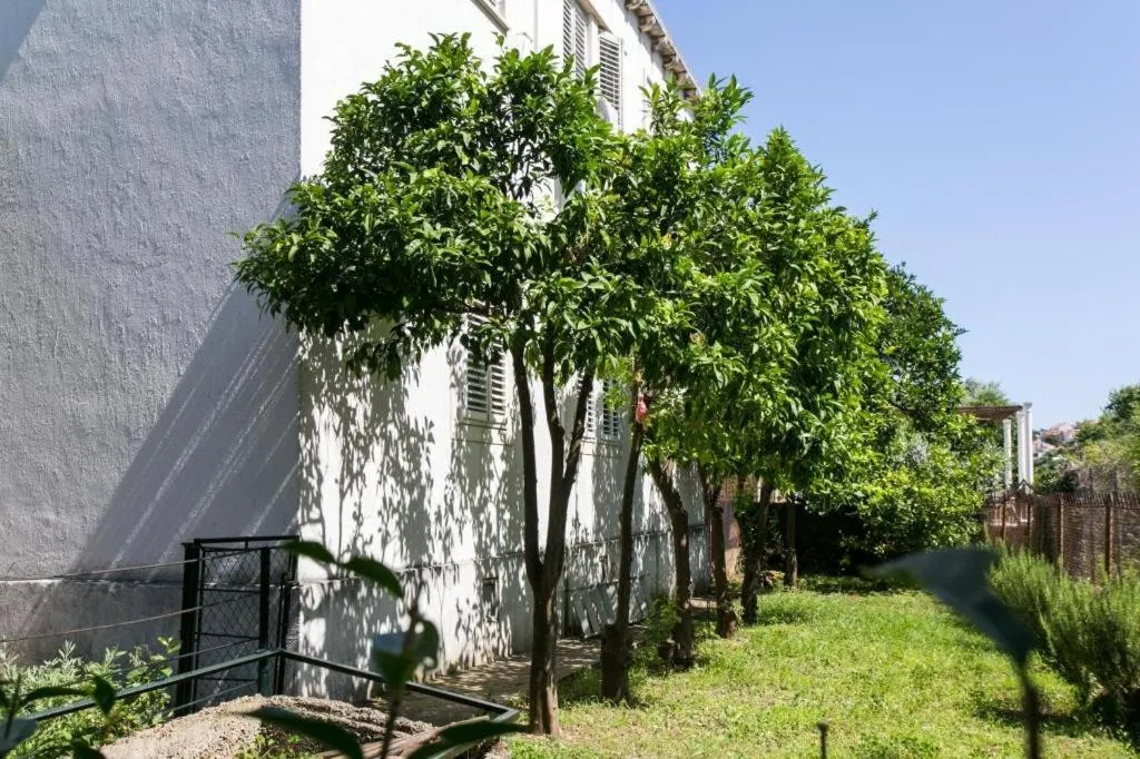 Property building in Apartment Blue & Green