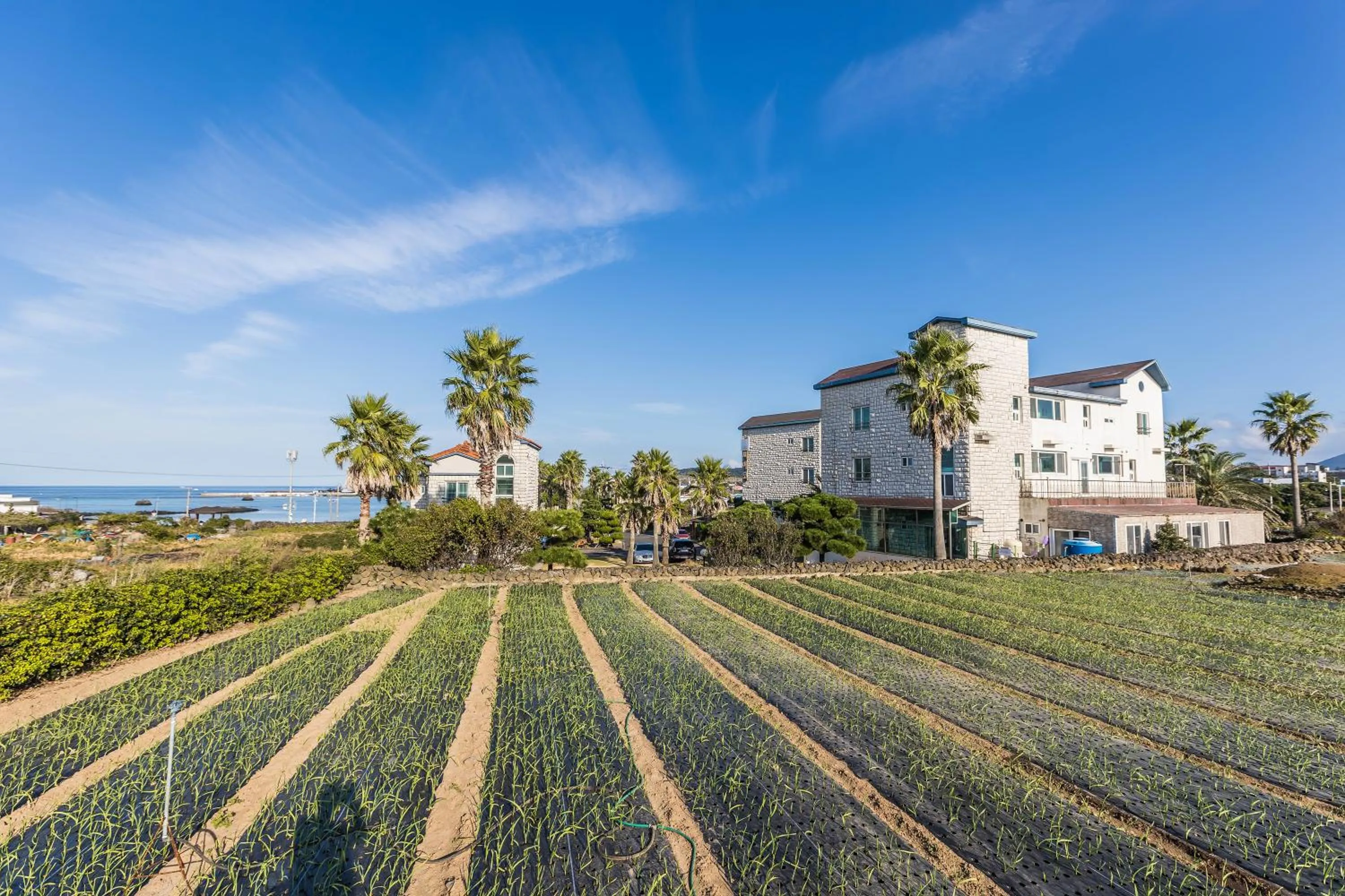 Property building in Sea Eco Beach
