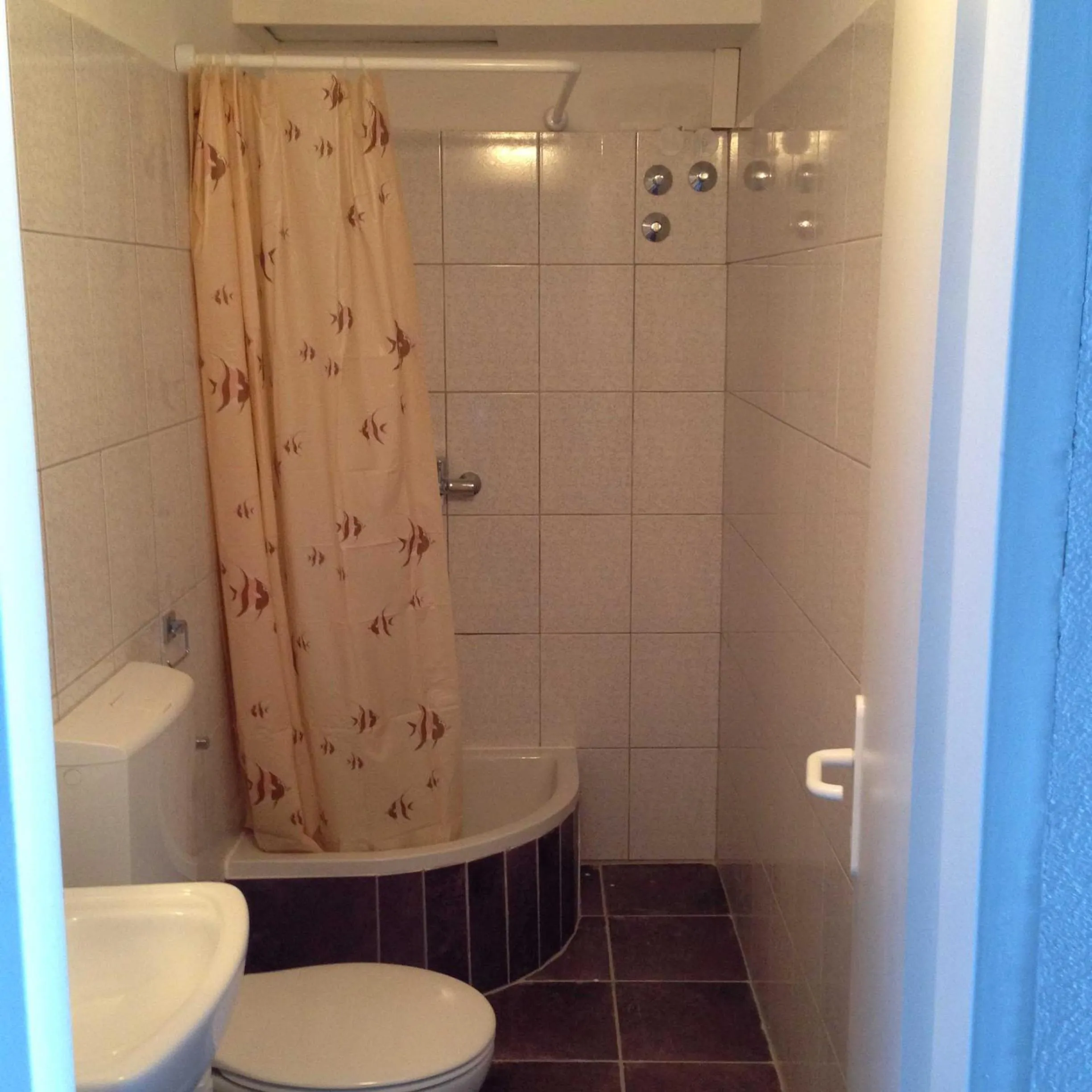 Toilet in Apartments Acalinović