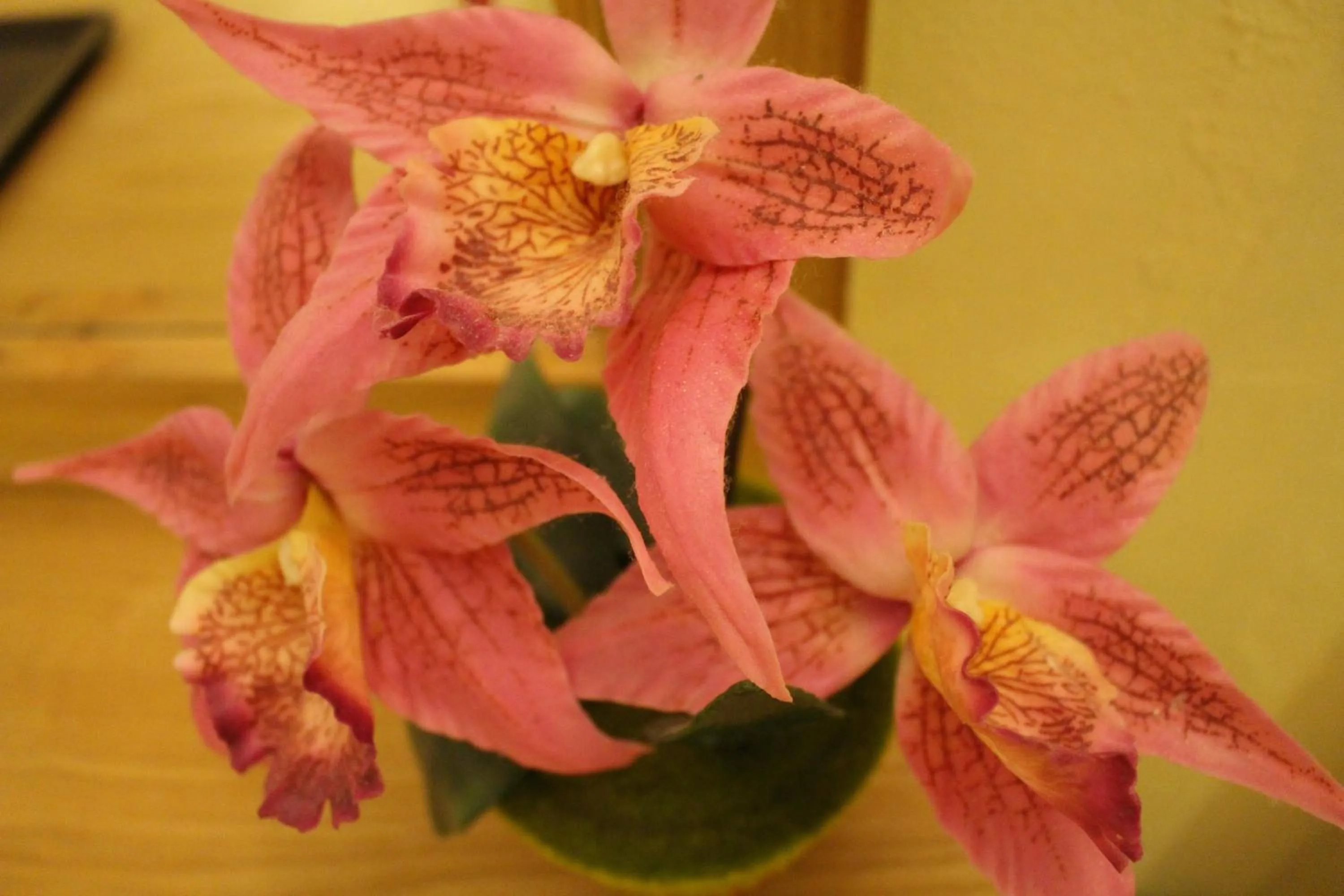 Decorative detail in The Lephant Hotel