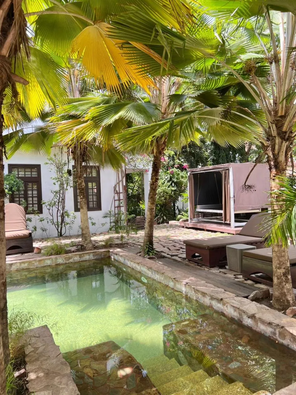 Swimming pool in Olma Hotel & Suites