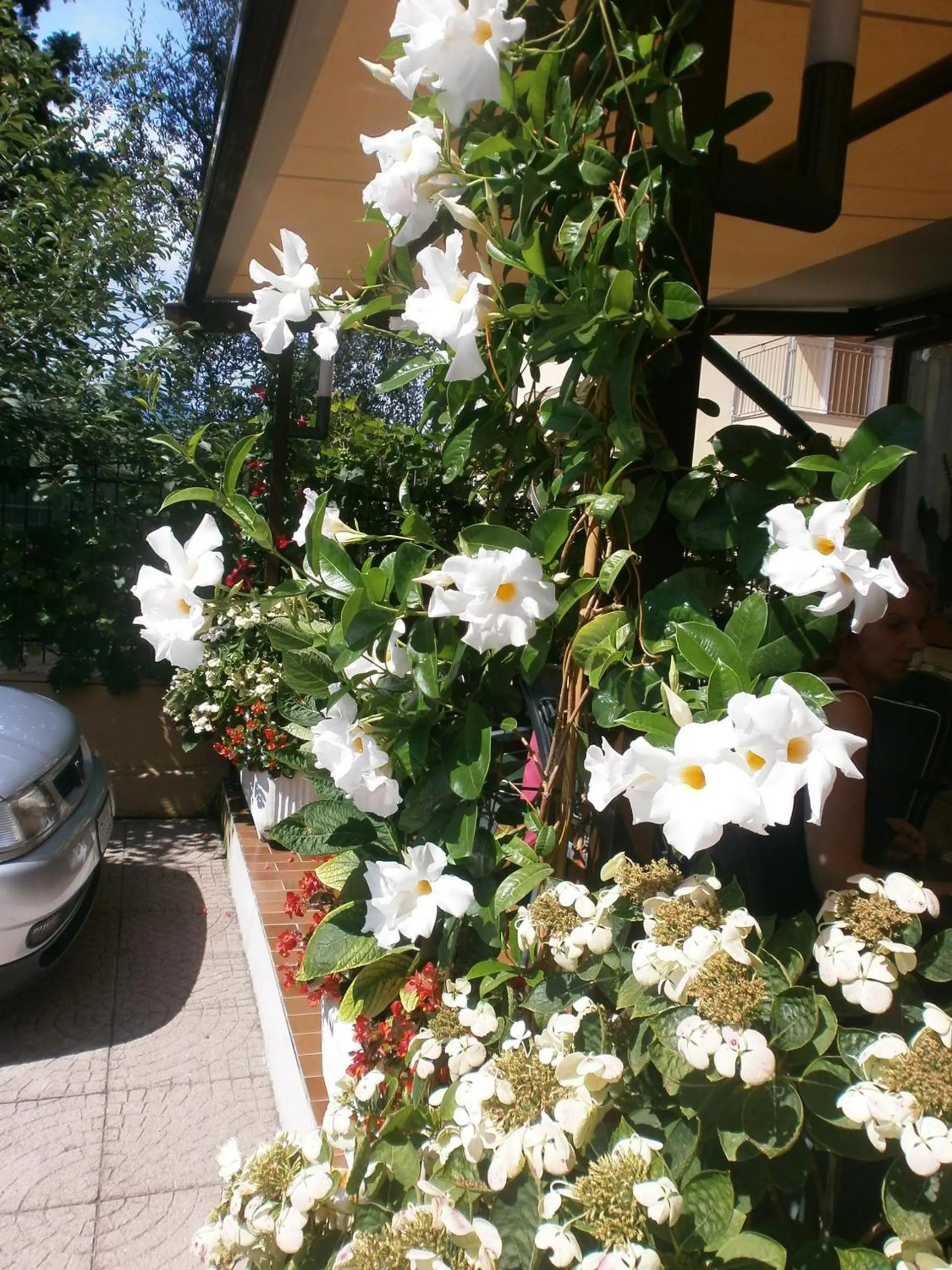 Balcony/Terrace in Albergo Al Pescatore