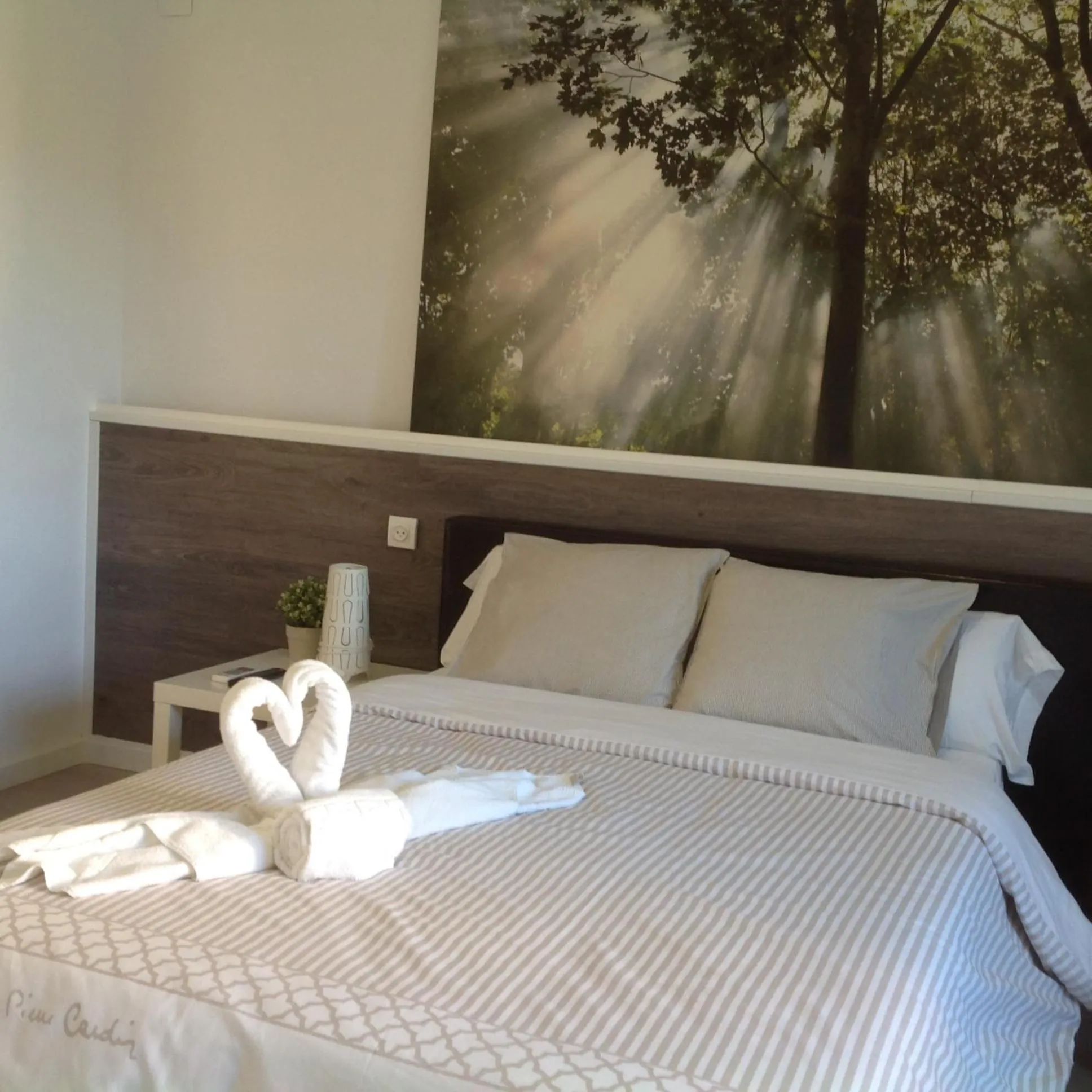 Decorative detail, Bed in VALENCIA SUITS YOU Centro Histórico, Establecimiento Automatizado-Fast Auto Check in&Out, Solo para Adultos-Adults only