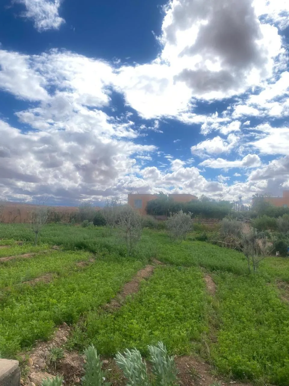 Garden in Family Village Marrakech