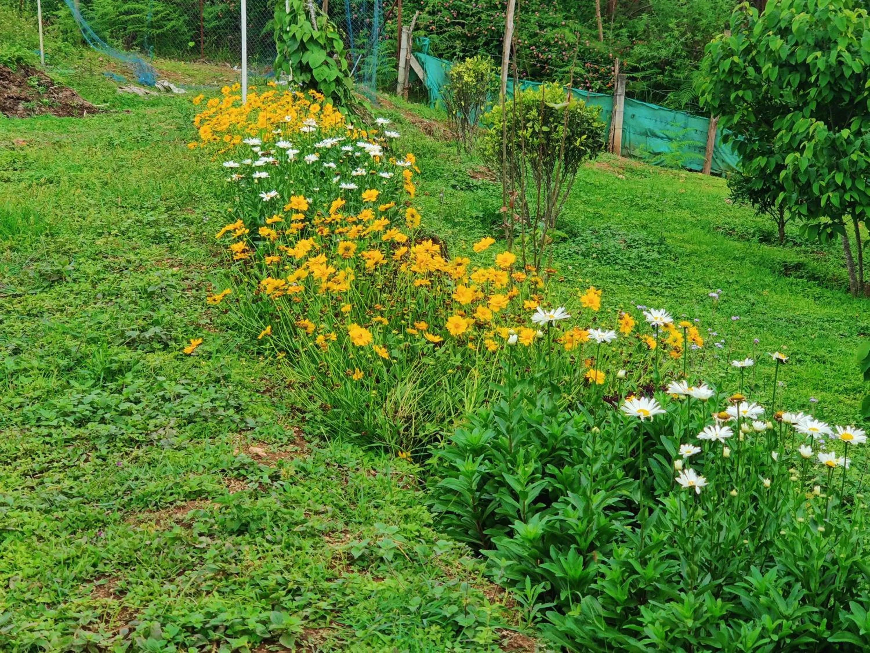 Garden in Cleveland Resorts Kanthalloor