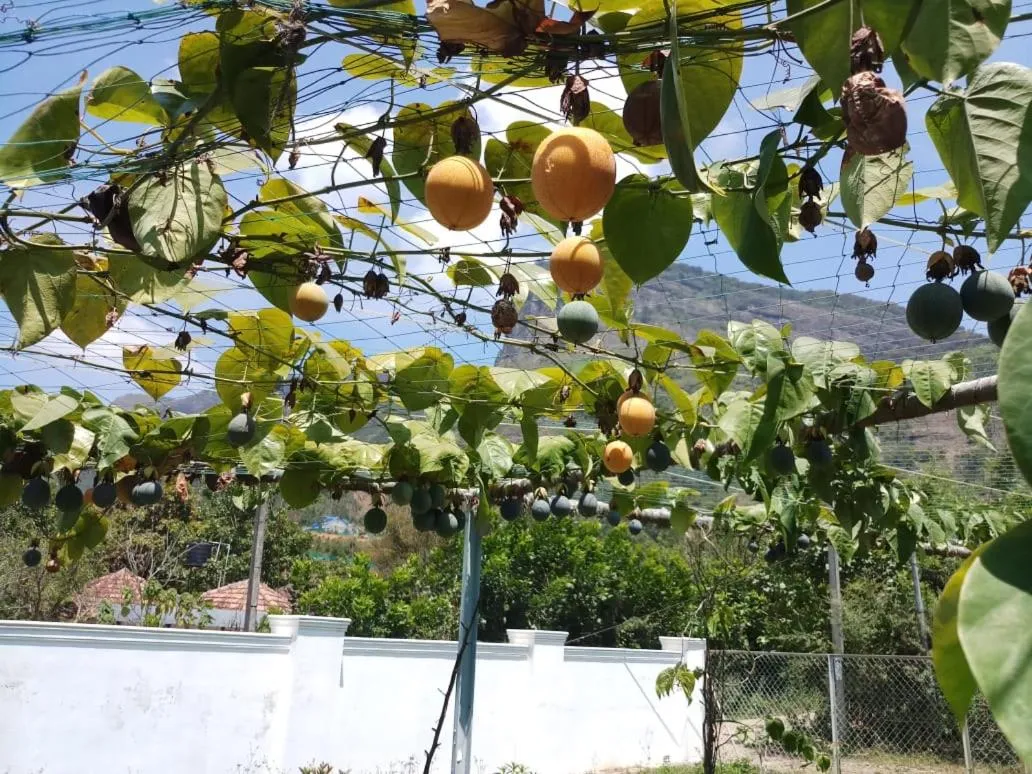 Garden in Cleveland Resorts Kanthalloor