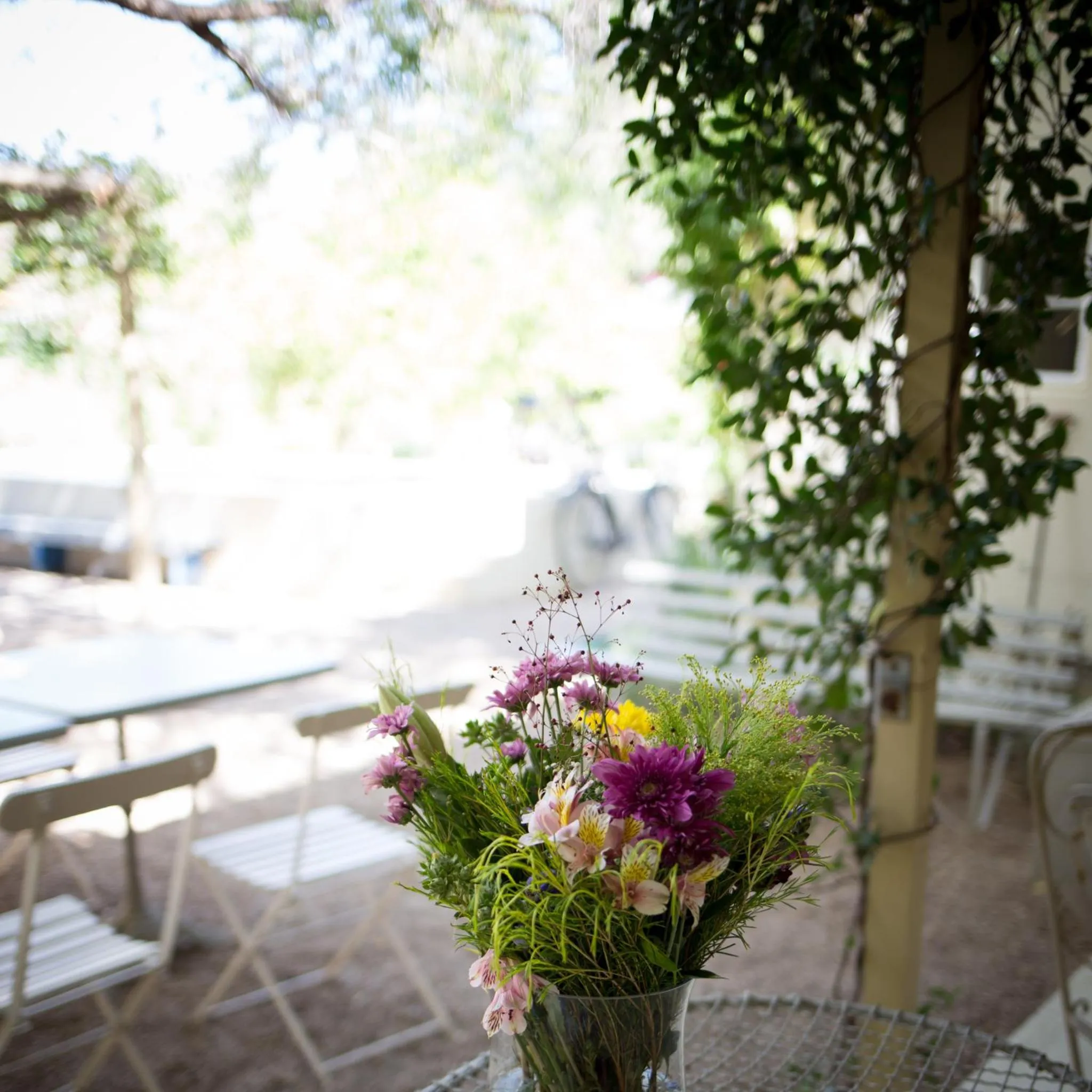 Garden in Prince Albert Country Stay