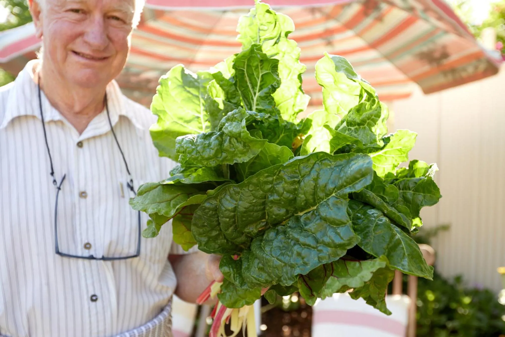 Staff in Prince Albert Country Stay
