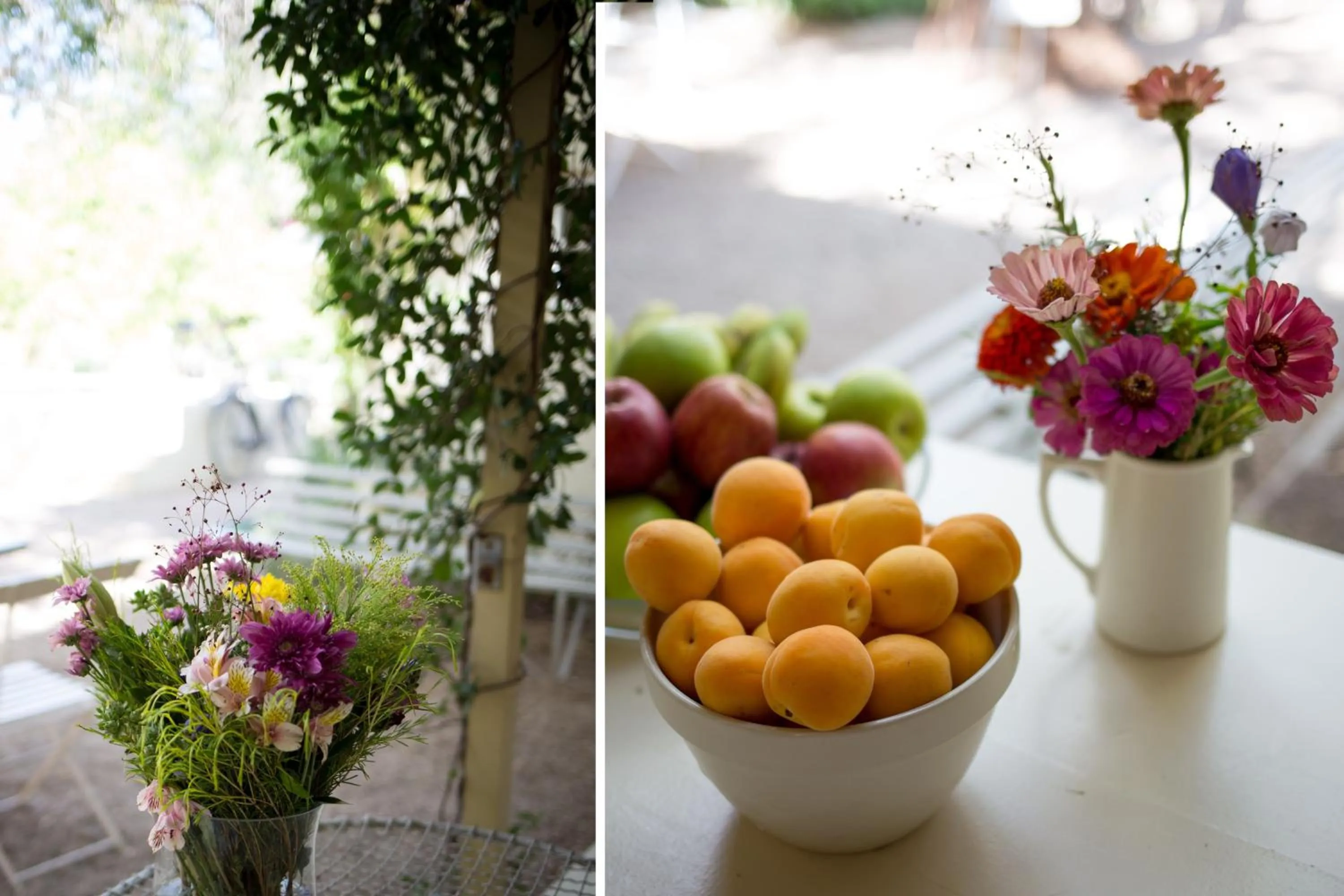 Garden in Prince Albert Country Stay