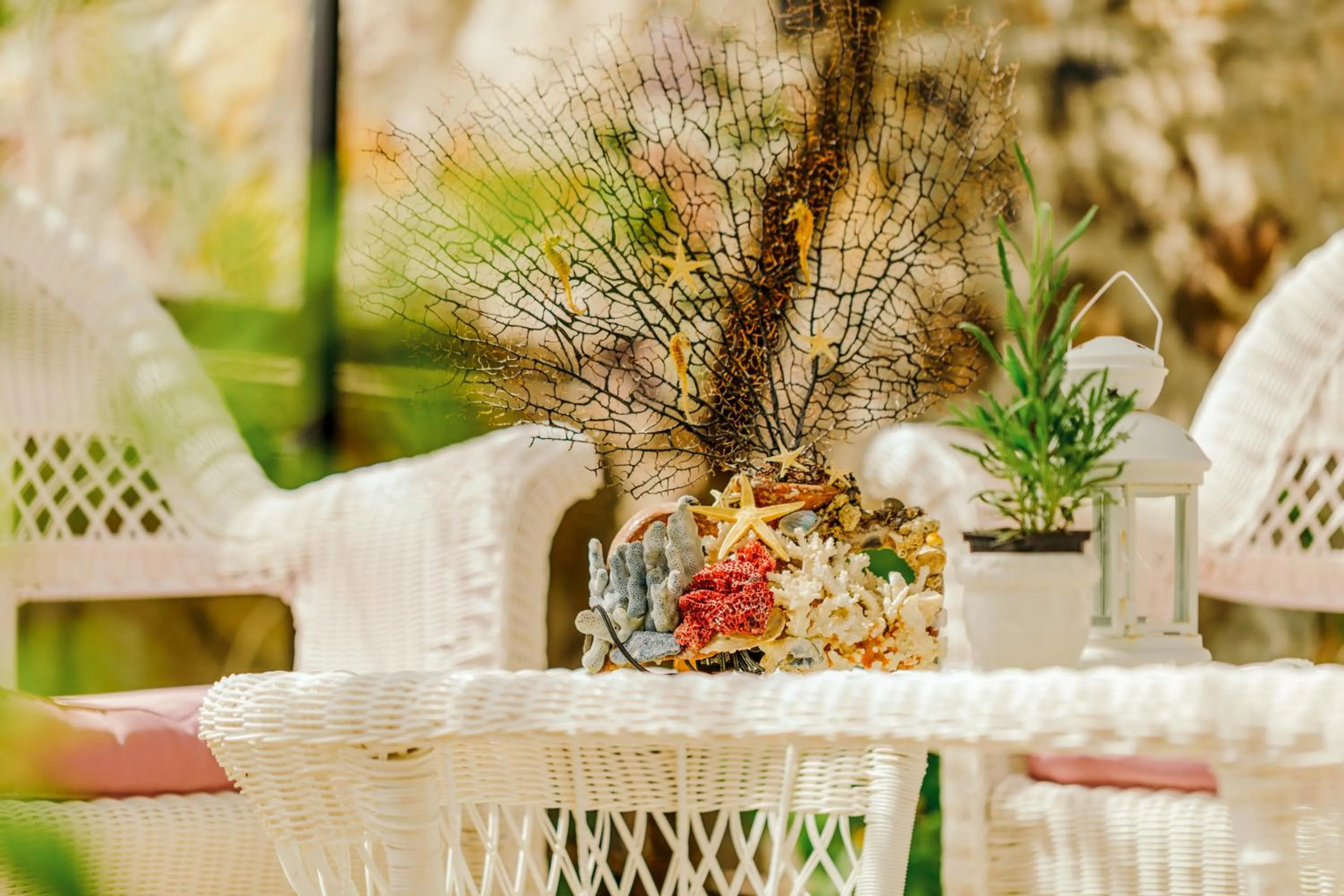 Garden in Cunda Esen Hotel