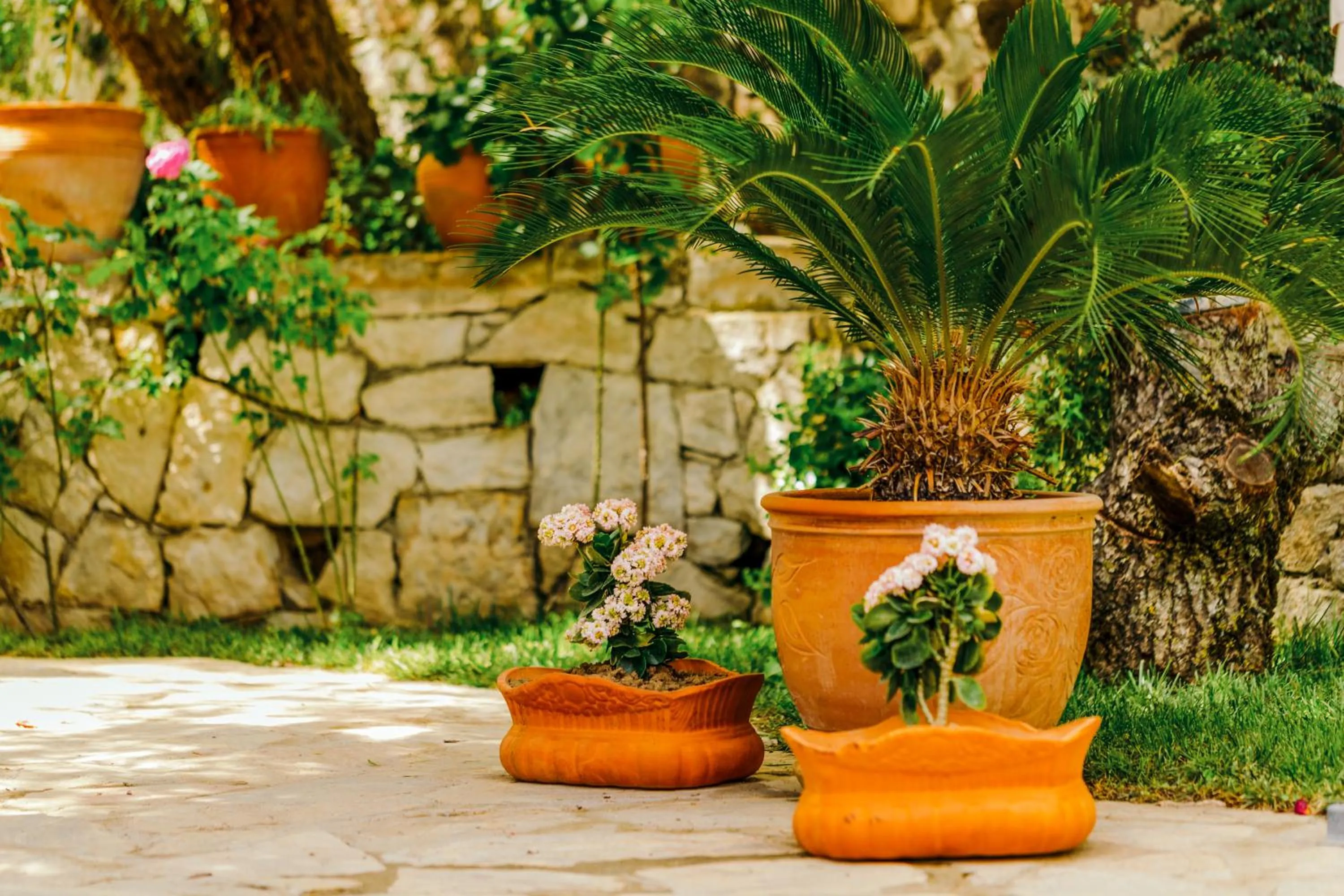 Garden in Cunda Esen Hotel