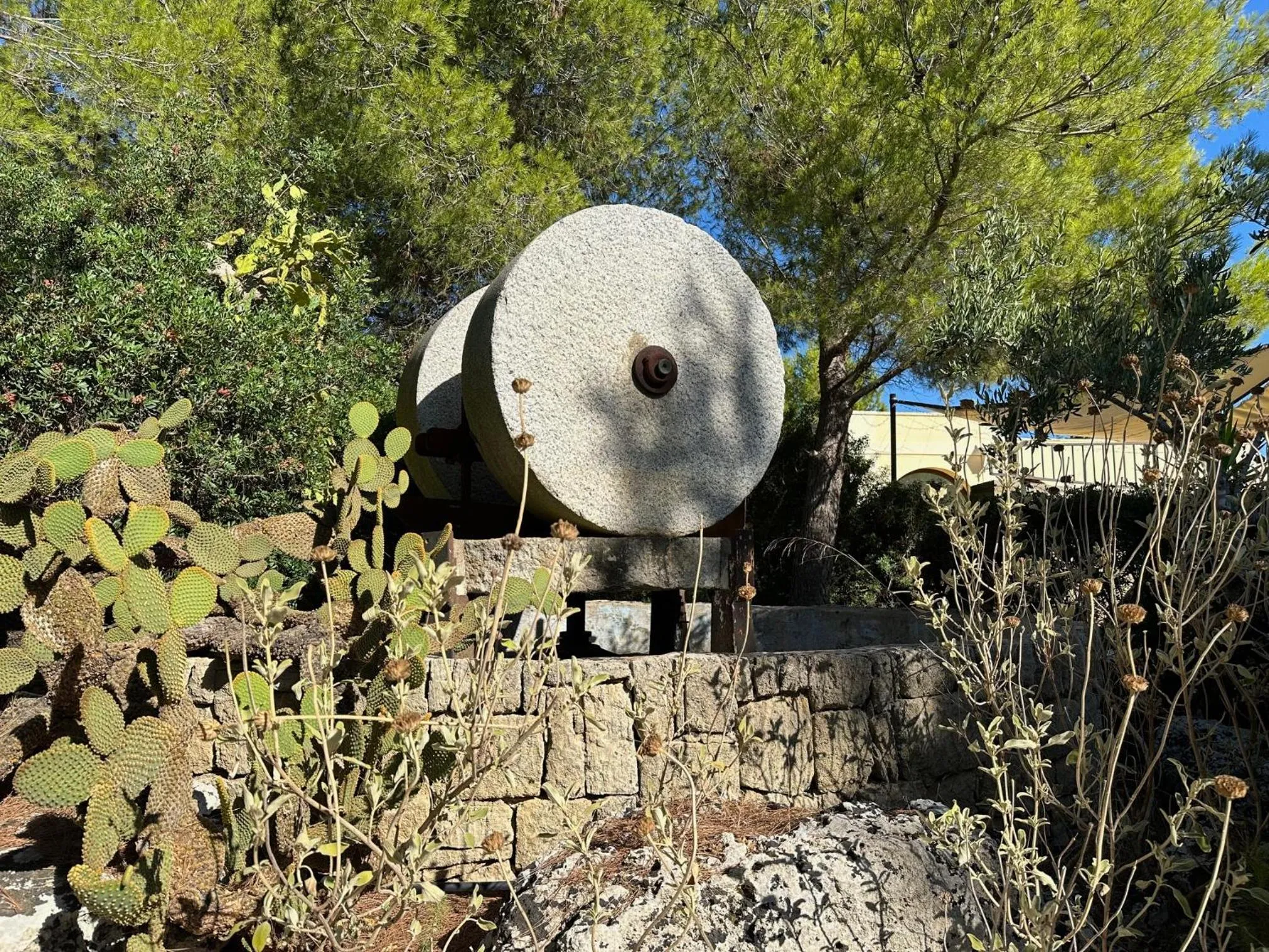 Garden in Agriturismo Il Trappeto