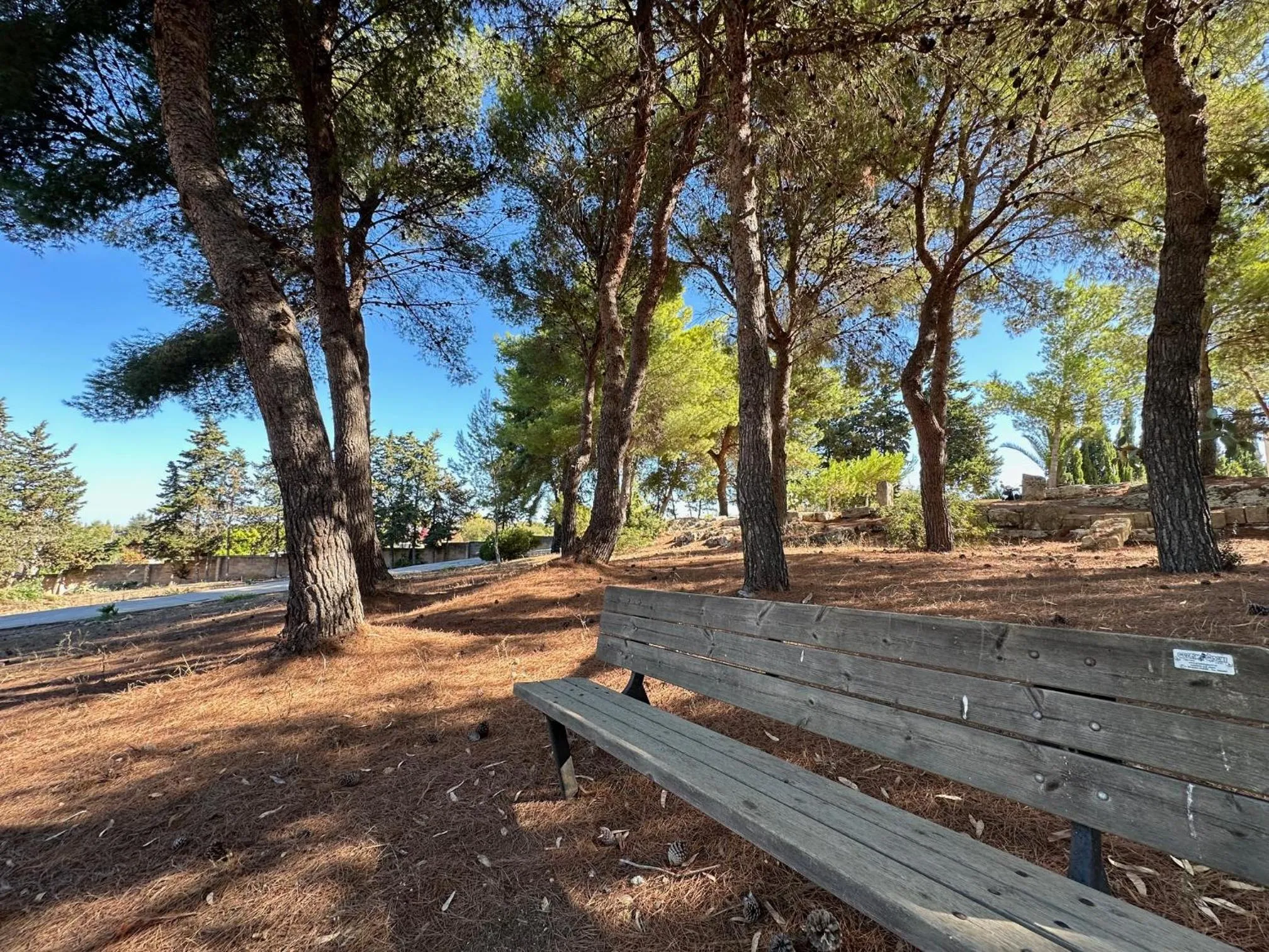 Garden in Agriturismo Il Trappeto