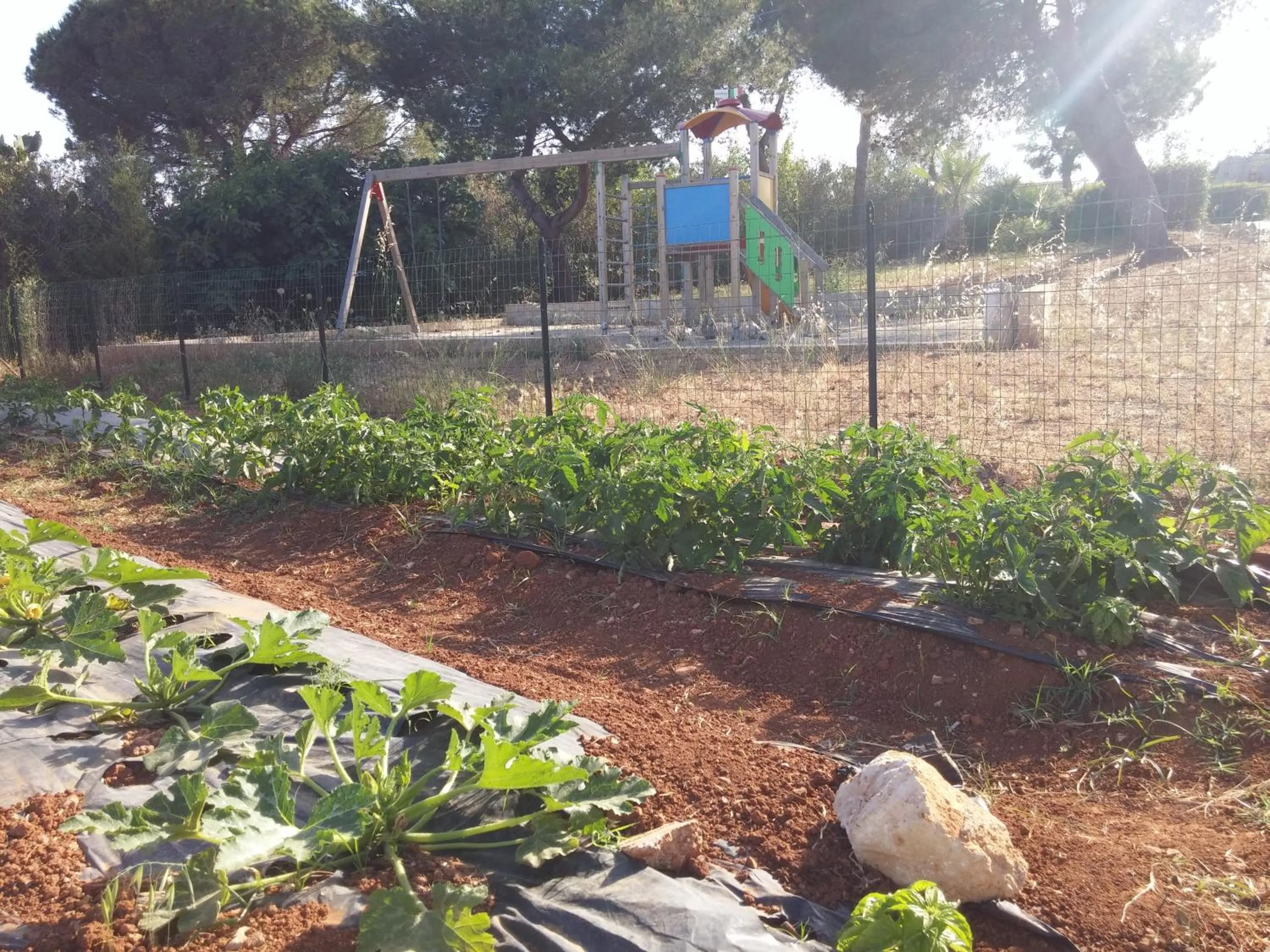 Children play ground in Agriturismo Il Trappeto