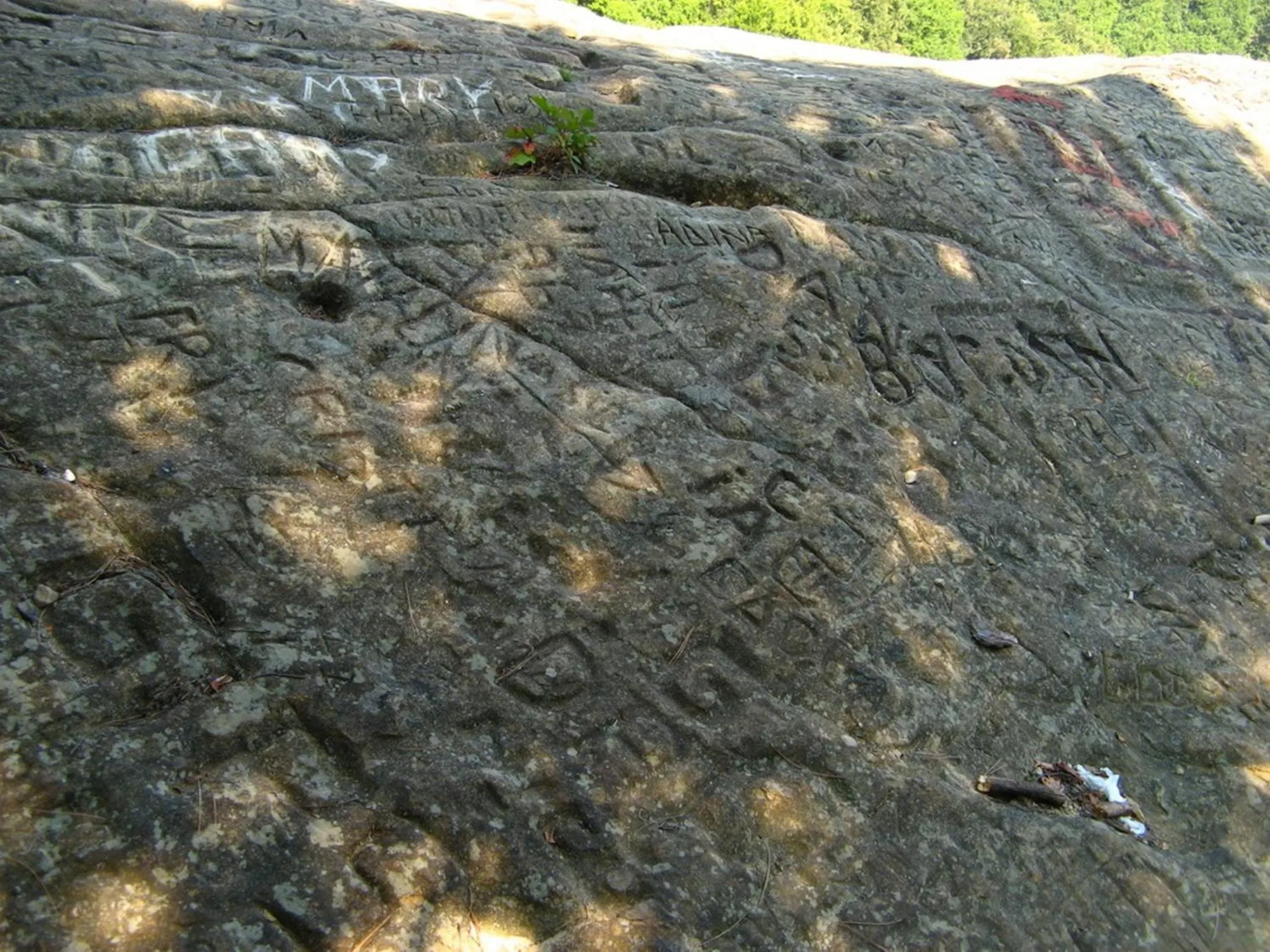 Area and facilities in Hotel Parang