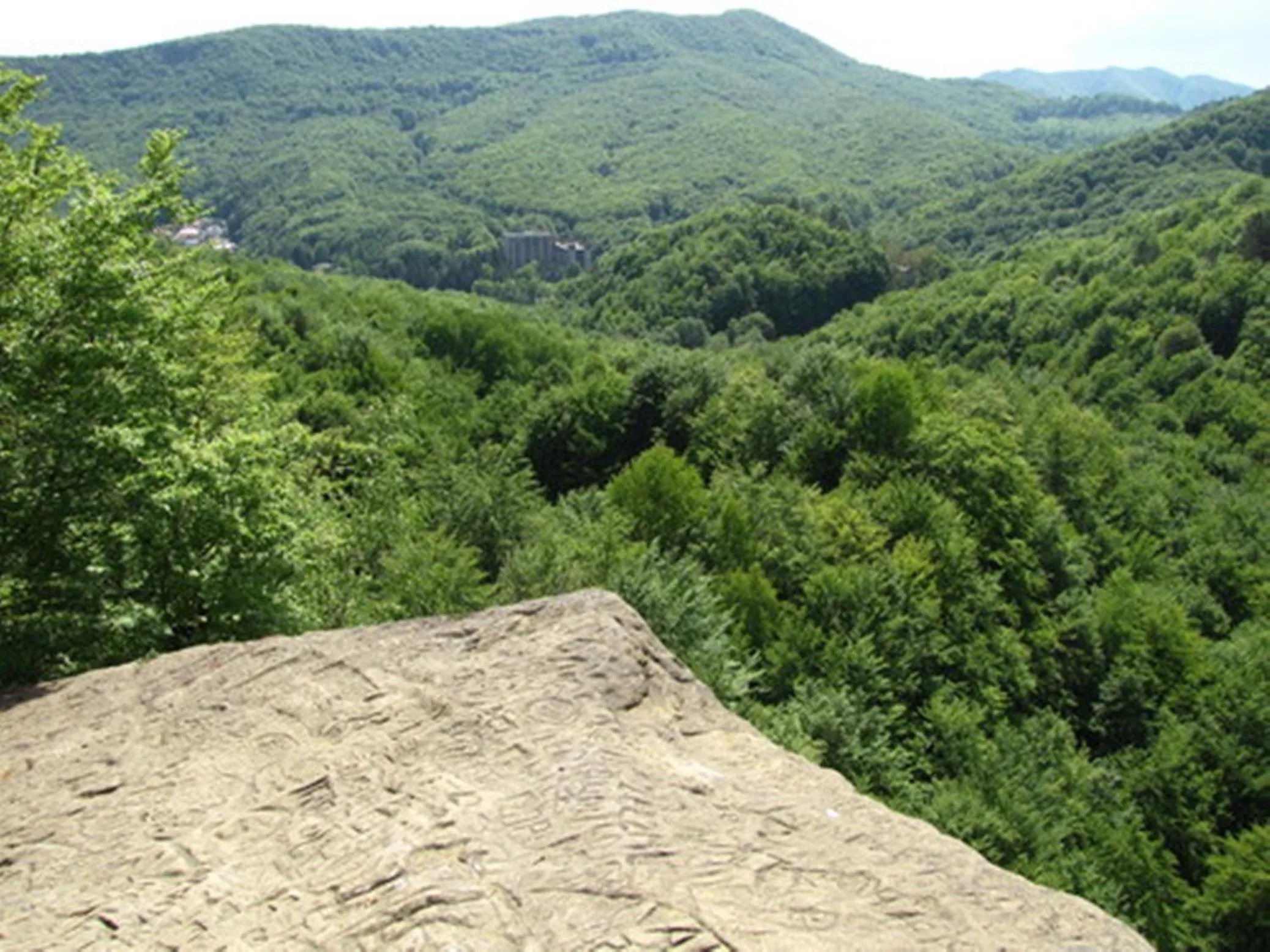Area and facilities in Hotel Parang