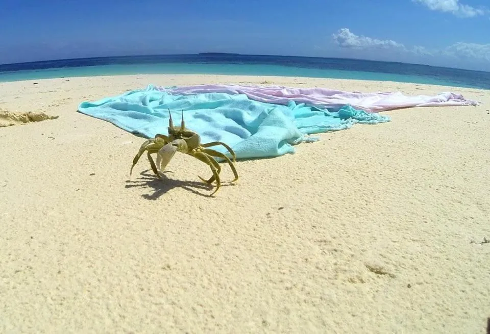 Snorkeling in Promised Land Lodge