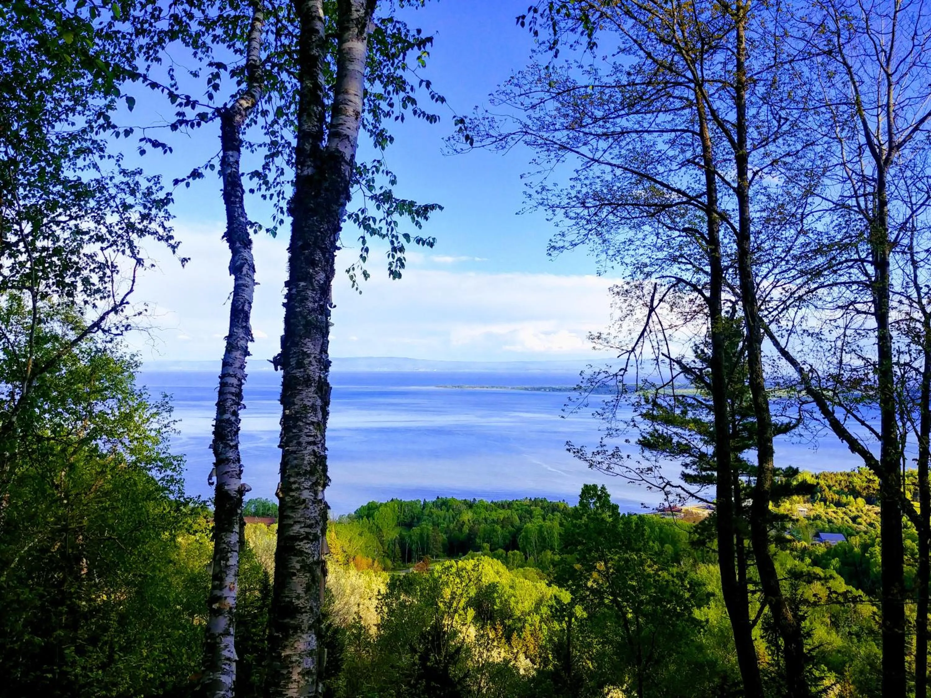 Spring in Auberge de la rive de Charlevoix - Auberge de jeunesse familiale pour voyageurs de tous âges