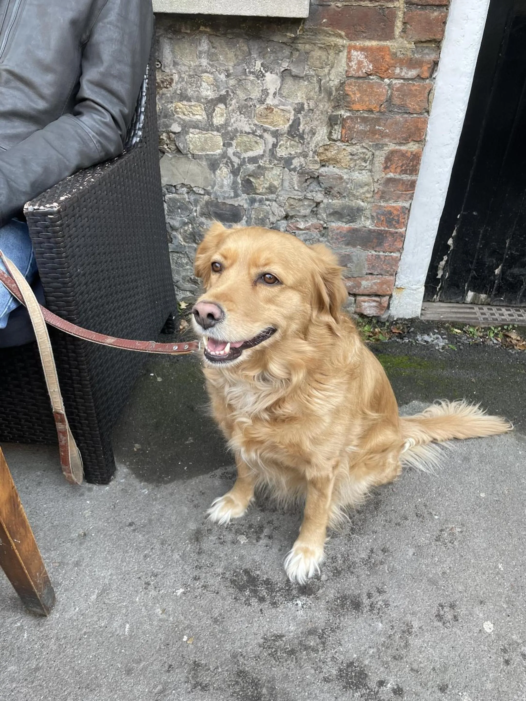 Other in The Old Bell - Warminster