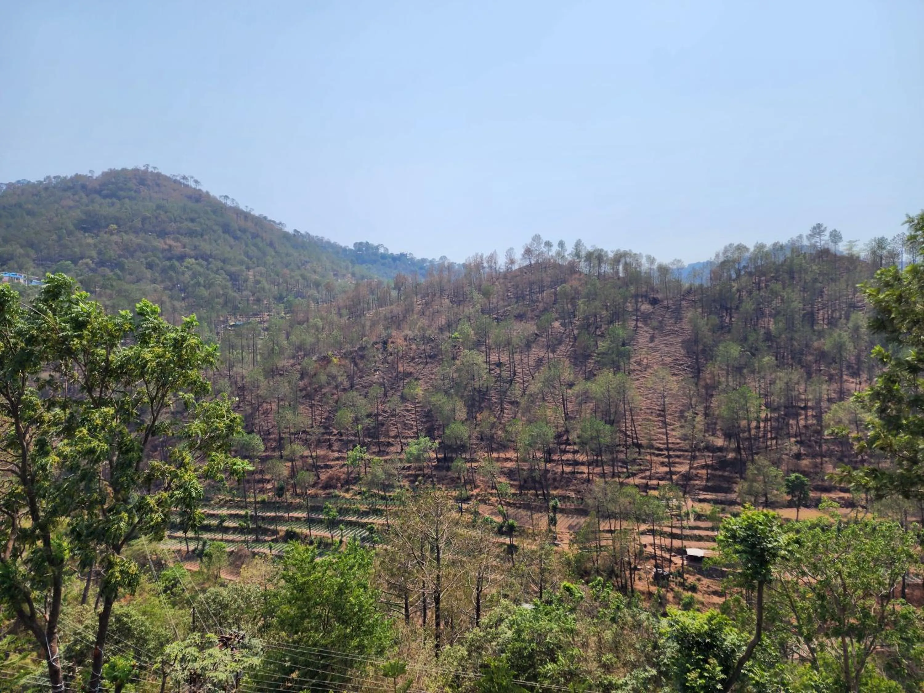 Hotel Royal Ark - Kasauli