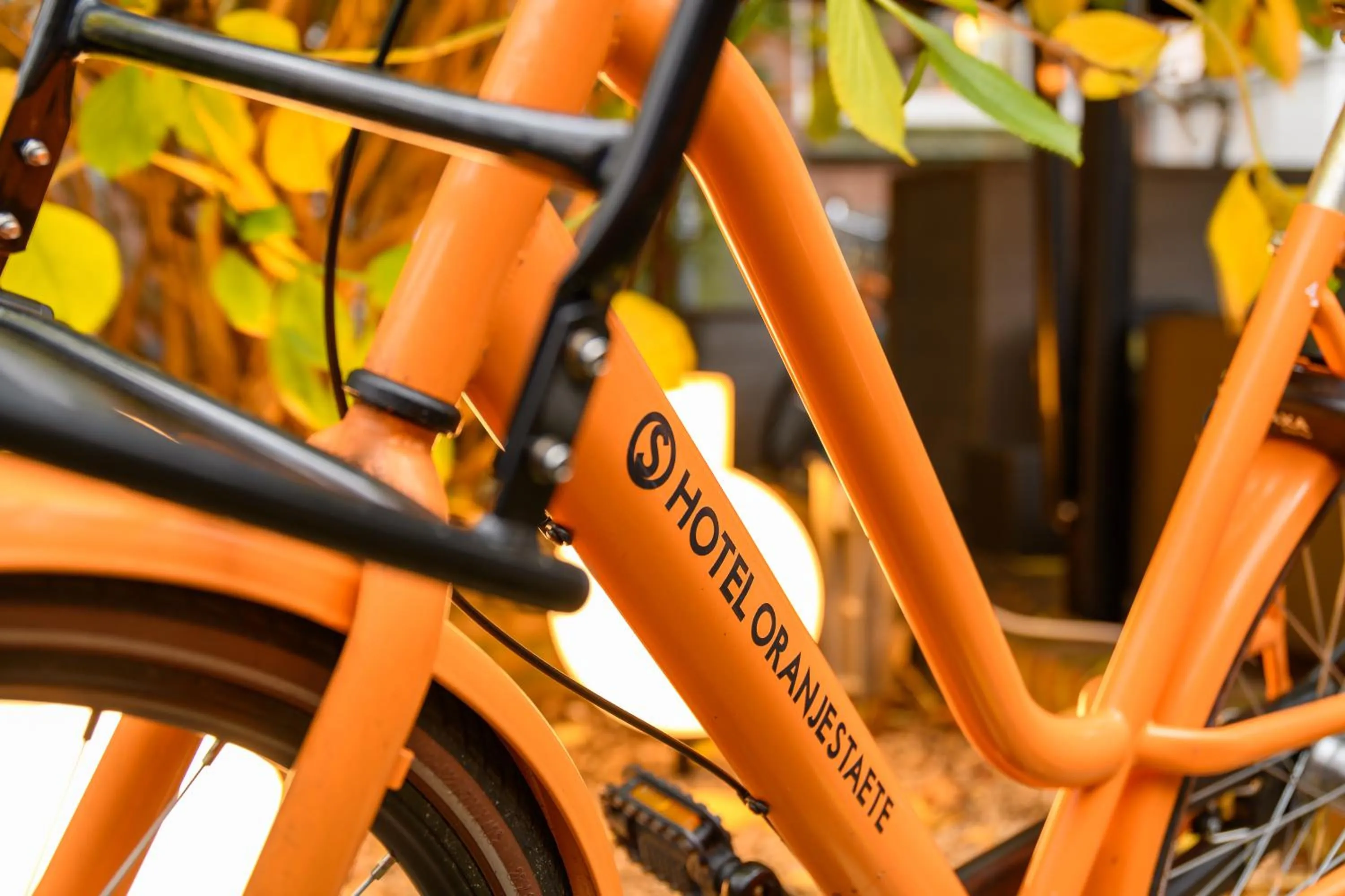 Nearby landmark in Hotel Oranjestaete