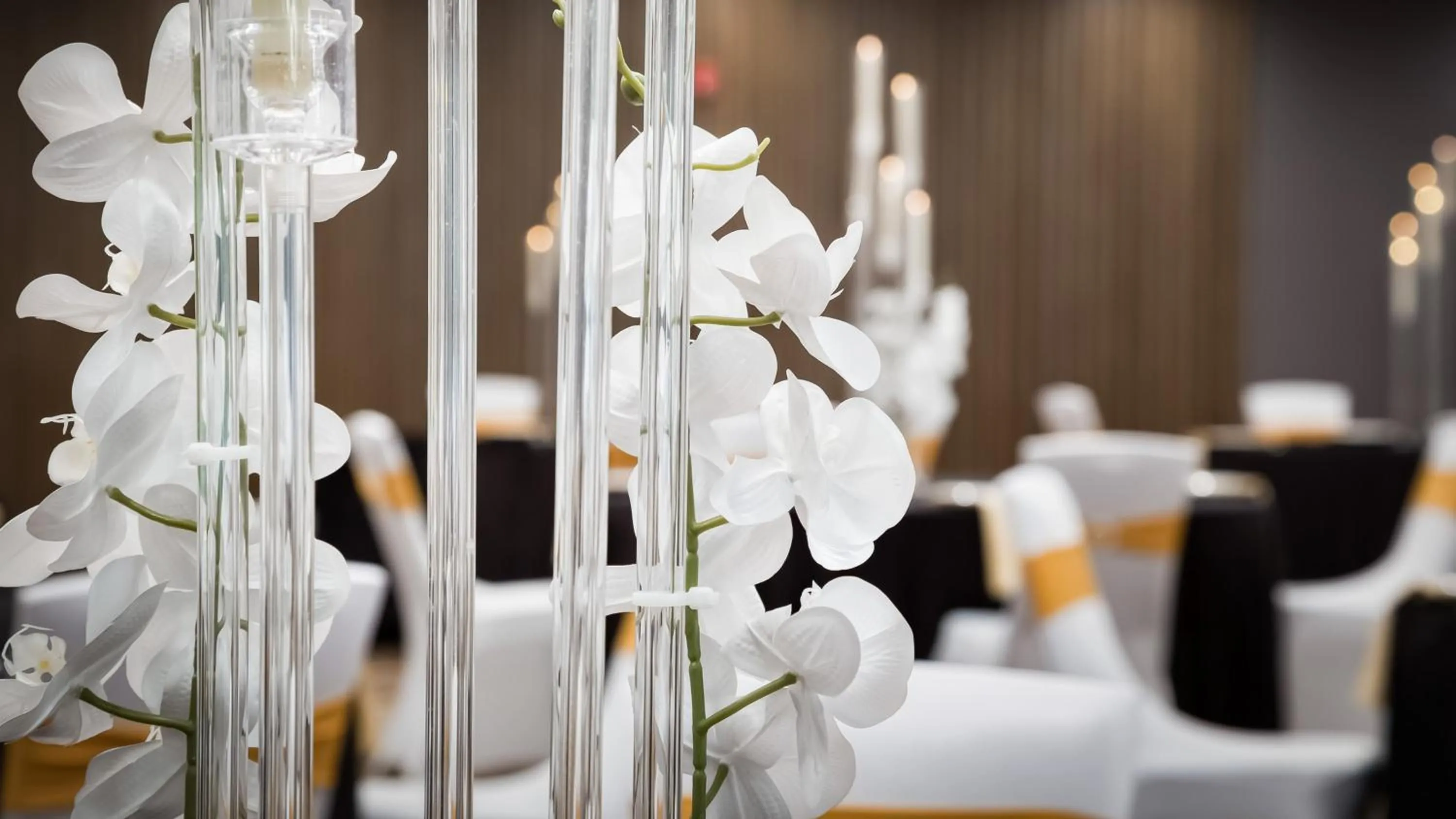 Meeting/conference room in Holiday Inn Nashville Airport by IHG