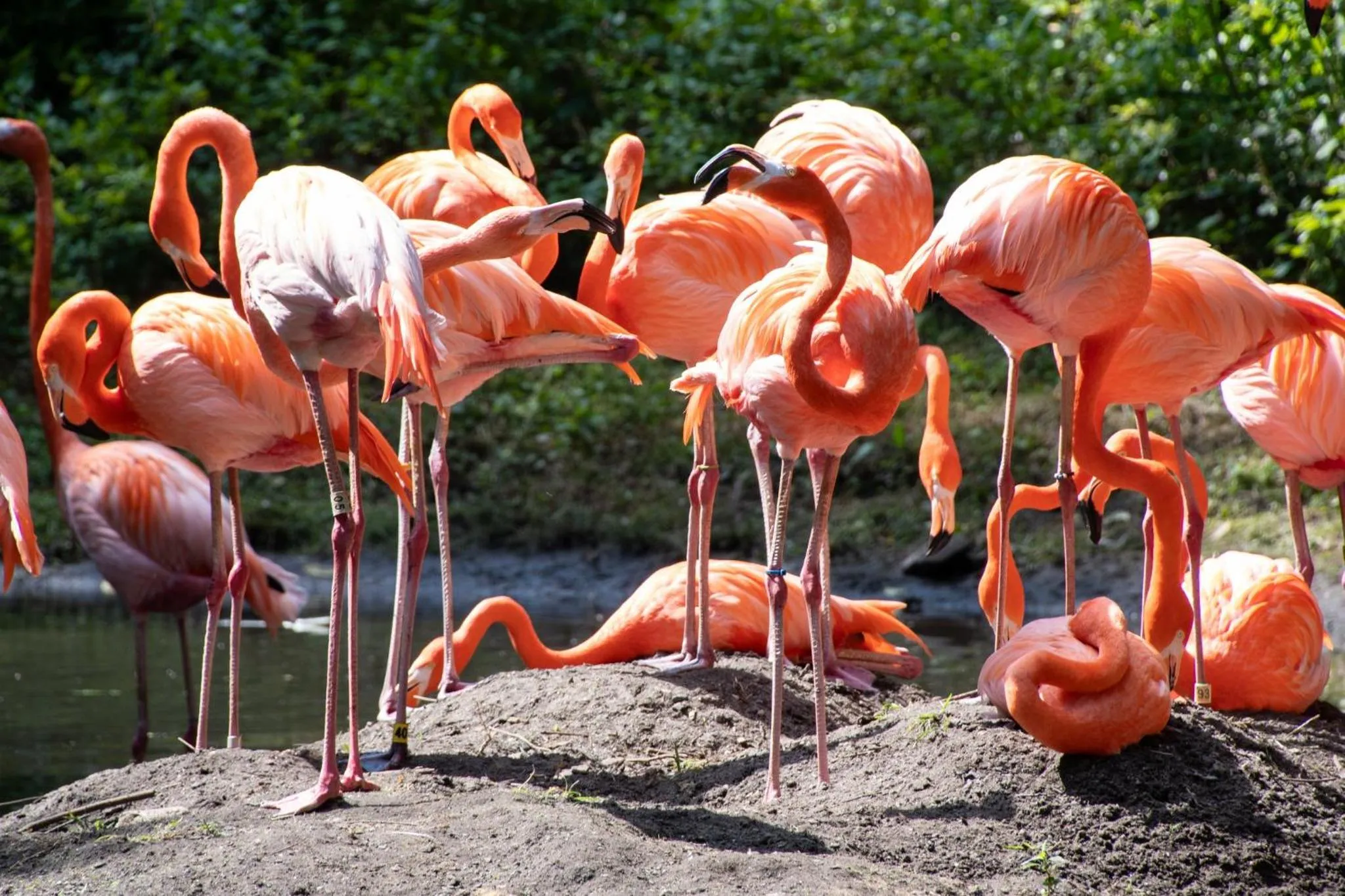 Area and facilities in Holiday Inn Express & Suites Bronx - Zoo Area by IHG